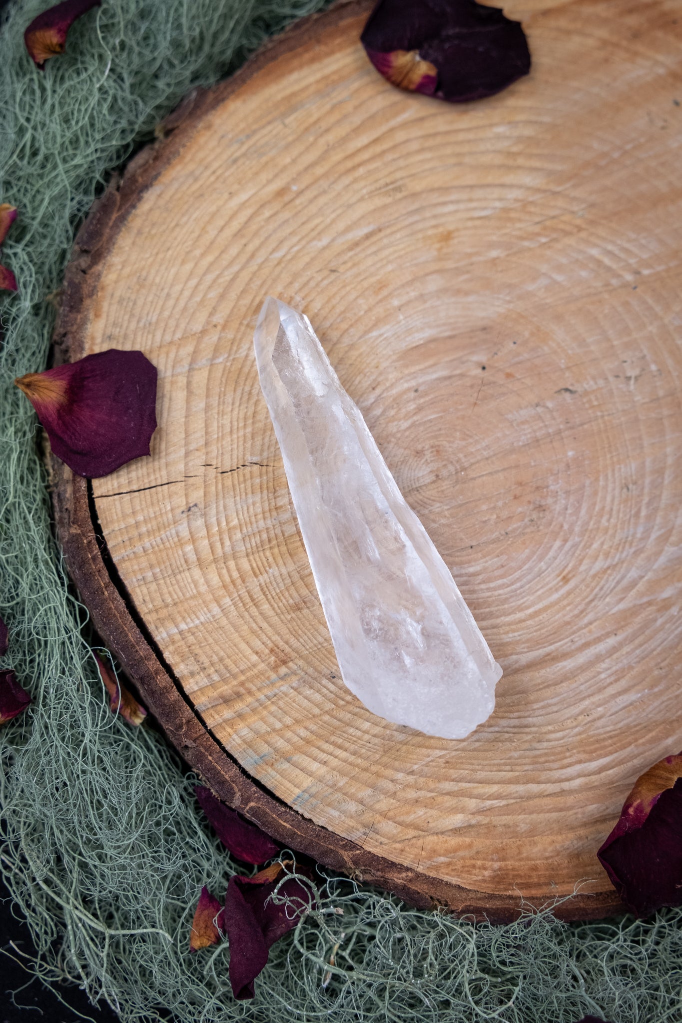 Natural Diamantina Quartz Point, High Grade Brazilian Crystal, Clear Quartz Stone for Energy Amplification and Clarity