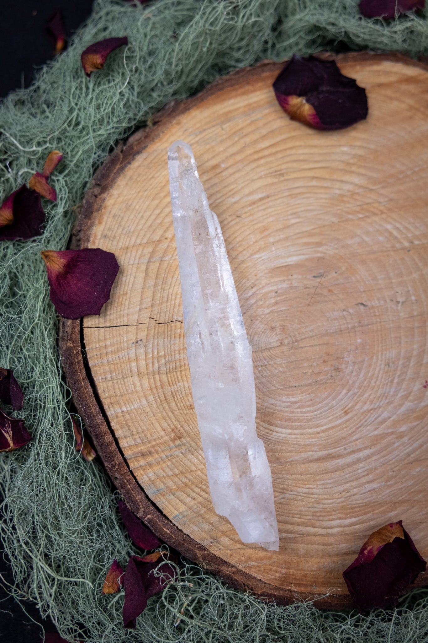 Natural Diamantina Quartz Point, High Grade Brazilian Crystal, Clear Quartz Stone for Energy Amplification and Clarity