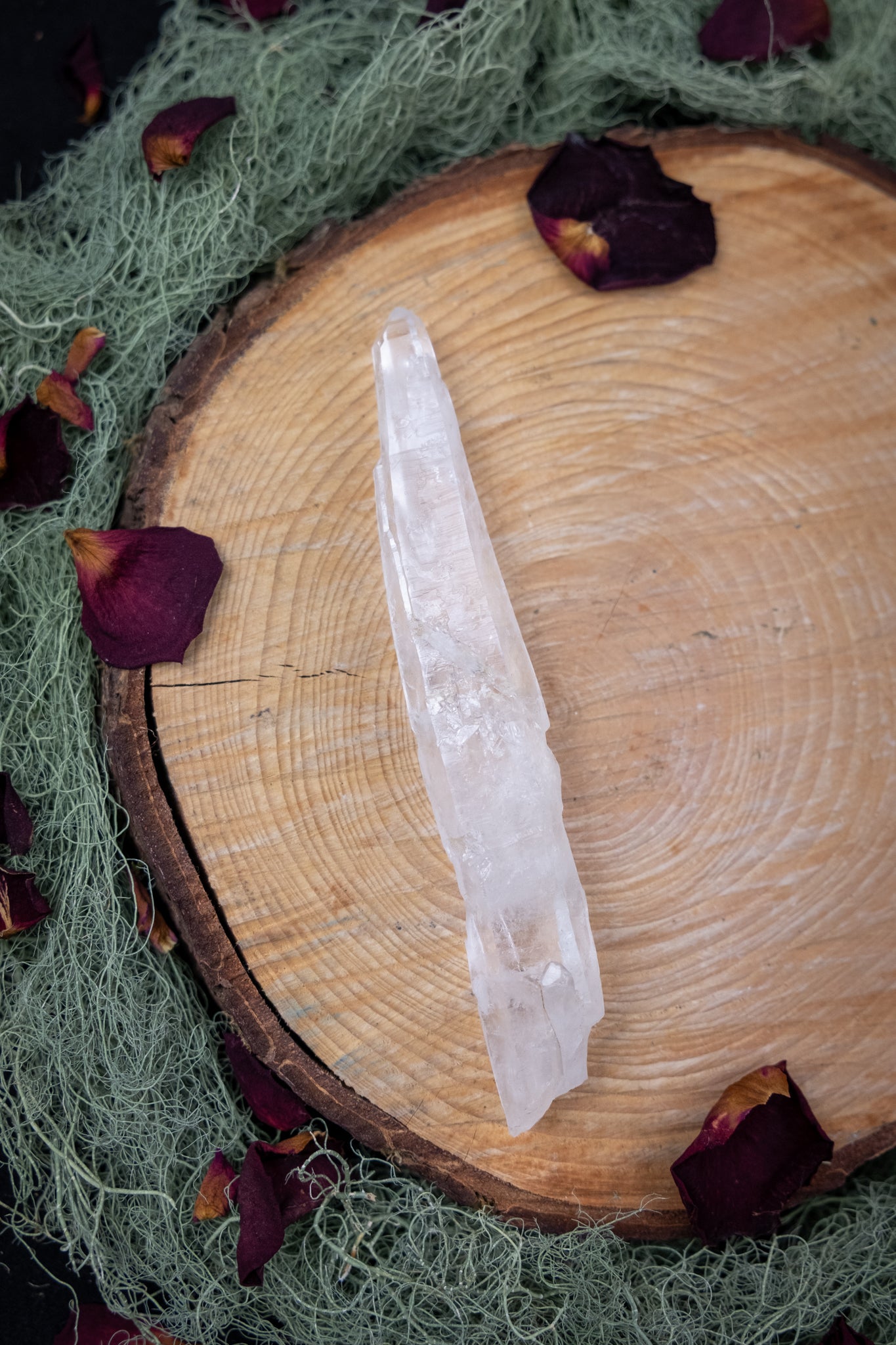 Natural Diamantina Quartz Point, High Grade Brazilian Crystal, Clear Quartz Stone for Energy Amplification and Clarity