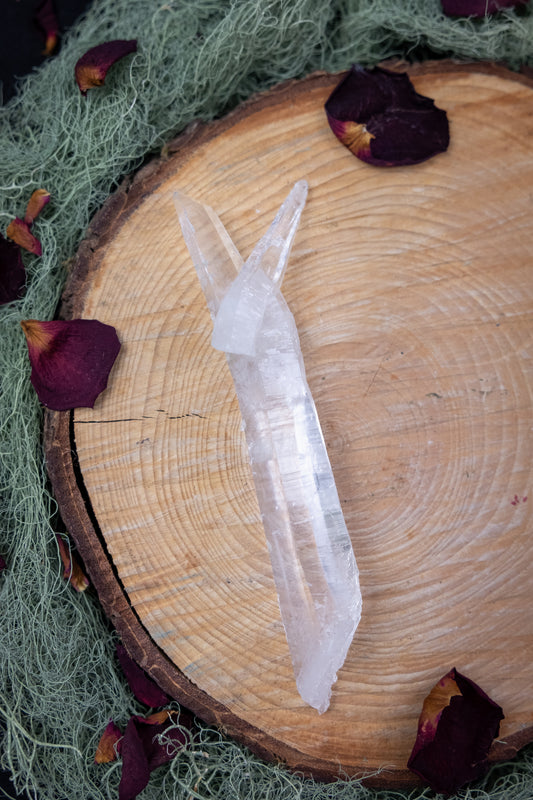 Natural Diamantina Quartz Point, High Grade Brazilian Crystal, Clear Quartz Stone for Energy Amplification and Clarity