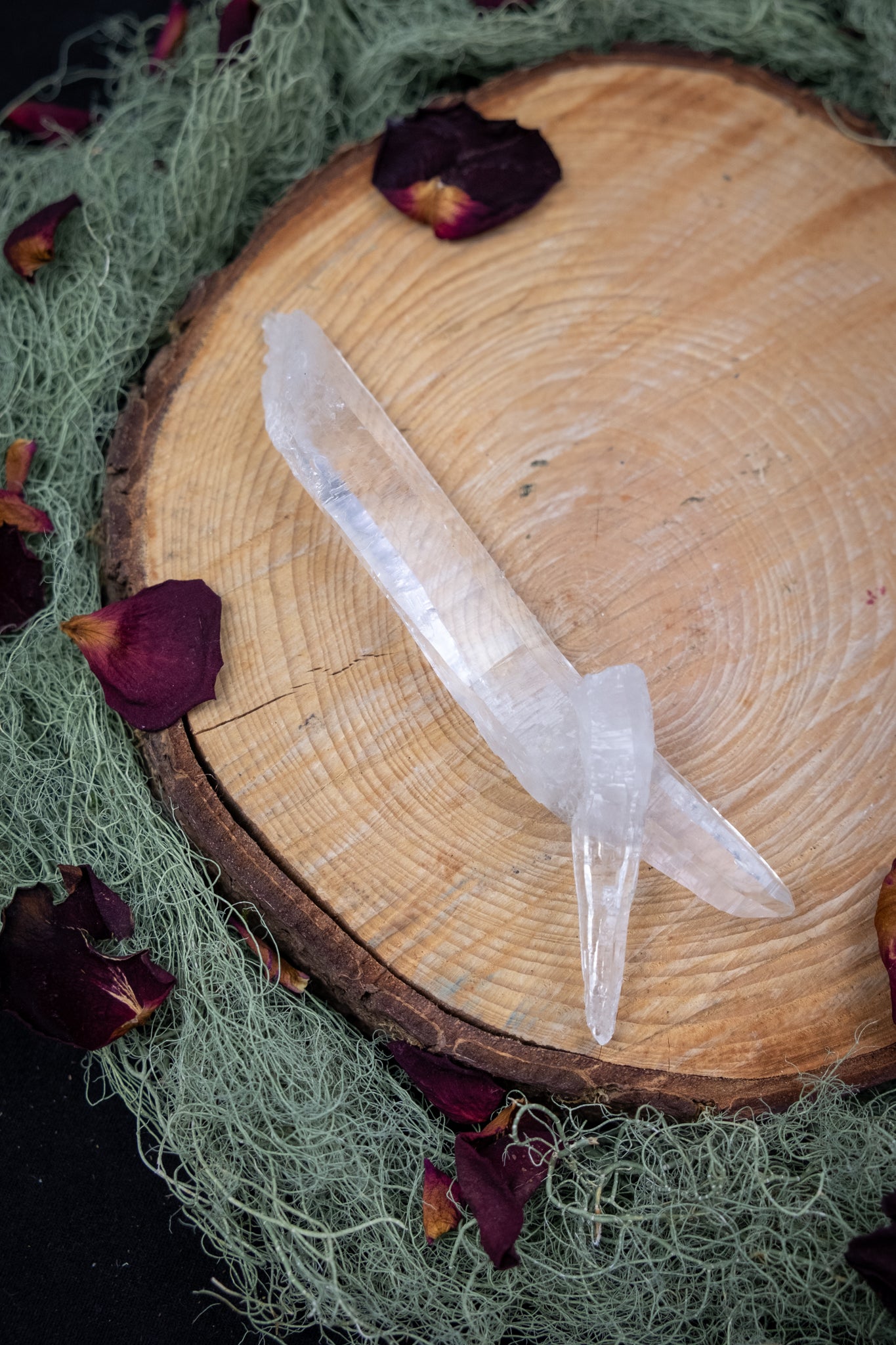 Natural Diamantina Quartz Point, High Grade Brazilian Crystal, Clear Quartz Stone for Energy Amplification and Clarity