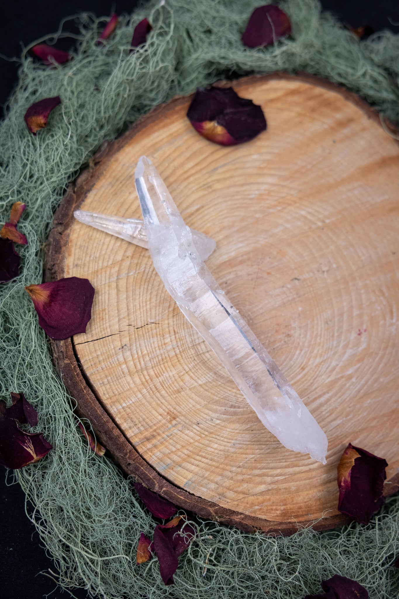 Natural Diamantina Quartz Point, High Grade Brazilian Crystal, Clear Quartz Stone for Energy Amplification and Clarity