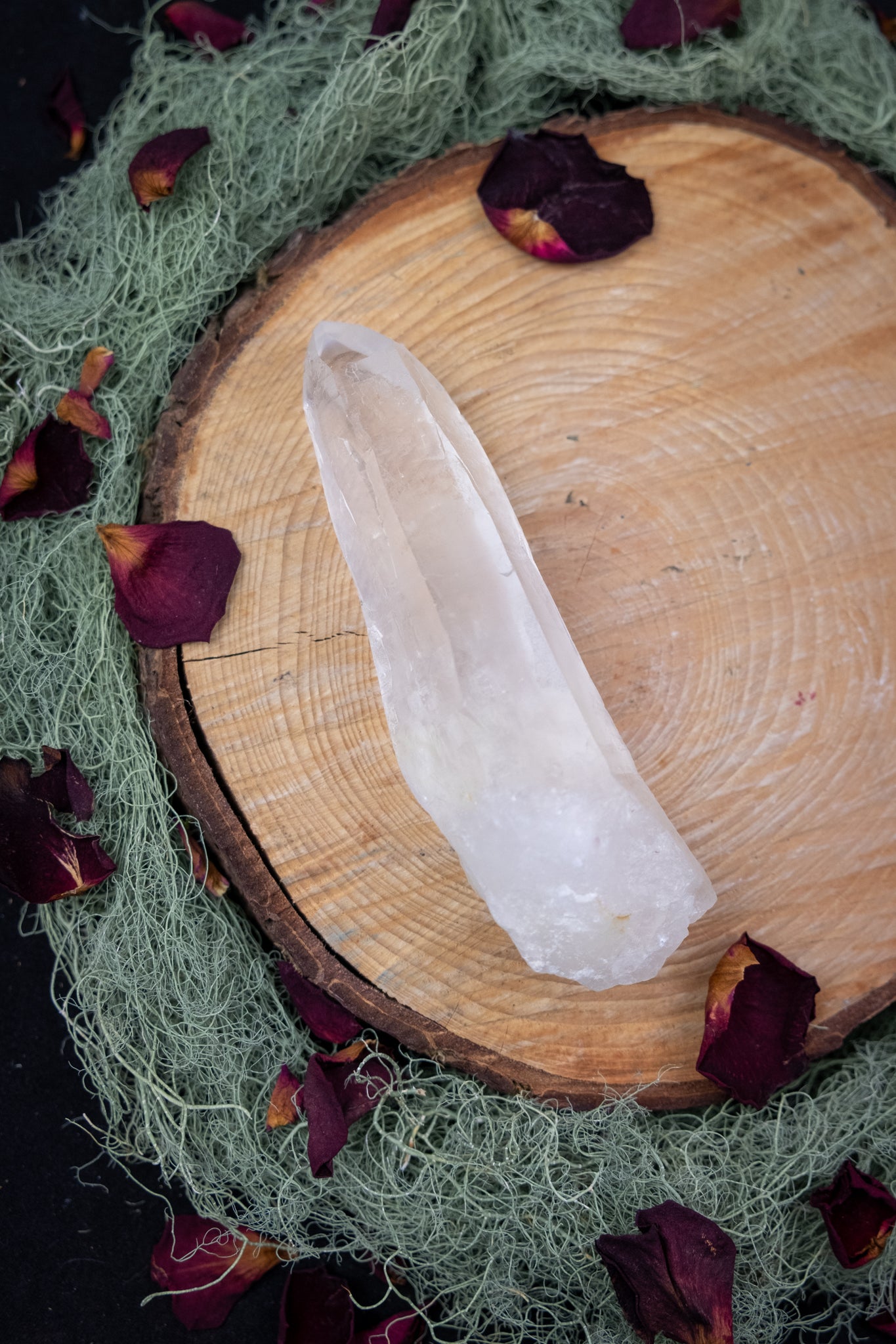 Natural Diamantina Quartz Point, High Grade Brazilian Crystal, Clear Quartz Stone for Energy Amplification and Clarity