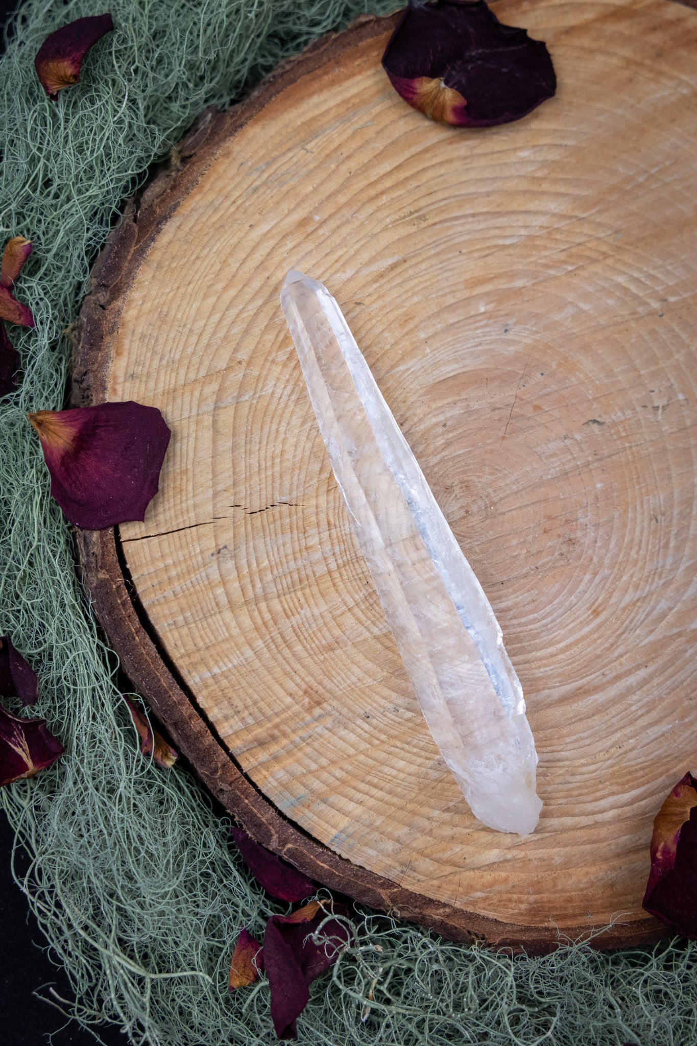 Natural Diamantina Quartz Point, High Grade Brazilian Crystal, Clear Quartz Stone for Energy Amplification and Clarity