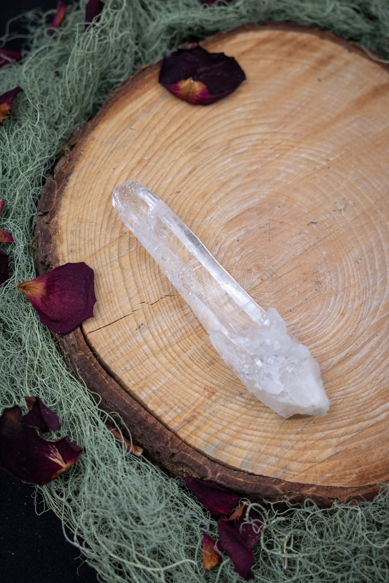 Natural Diamantina Quartz Point, High Grade Brazilian Crystal, Clear Quartz Stone for Energy Amplification and Clarity
