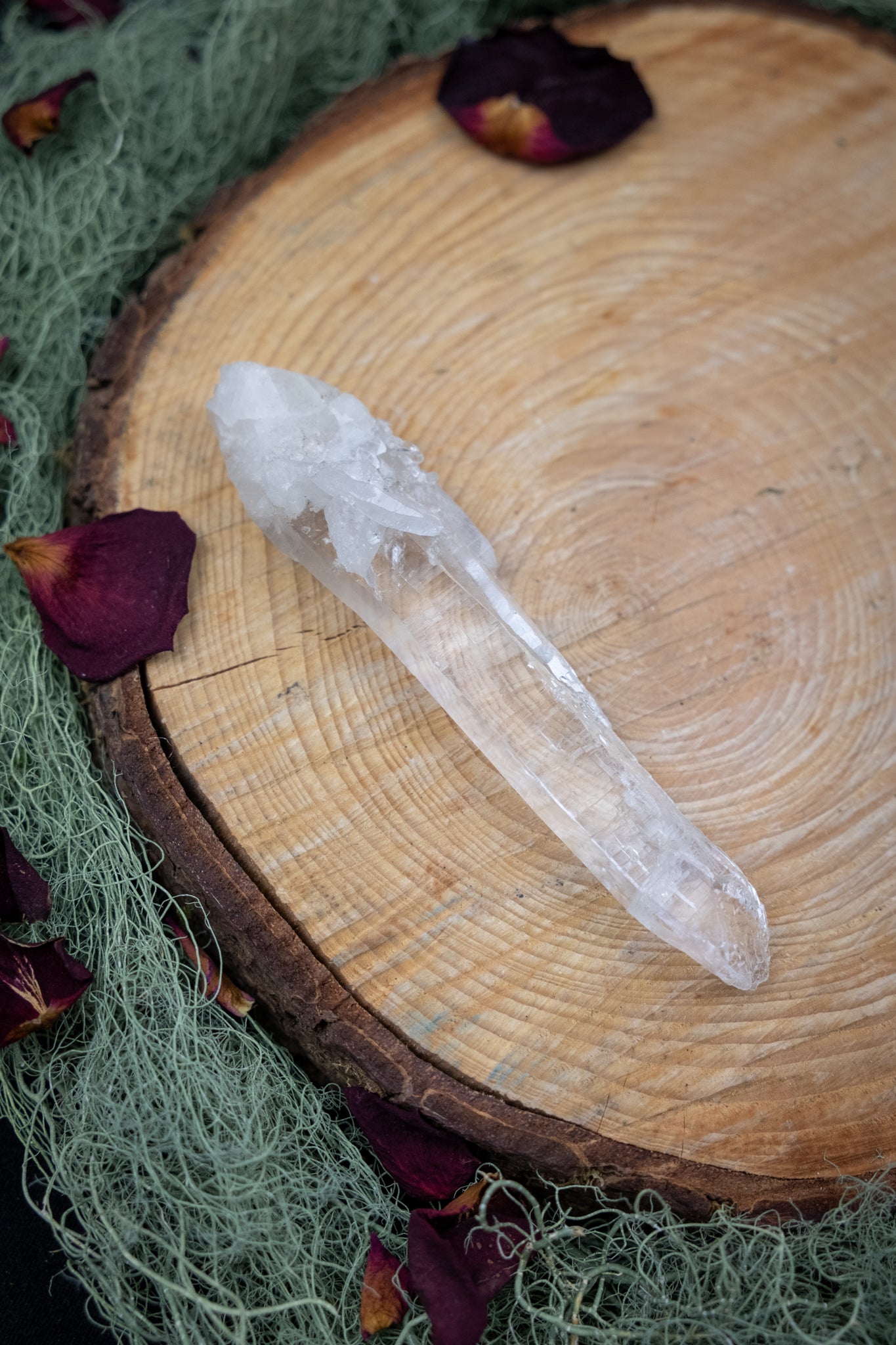 Natural Diamantina Quartz Point, High Grade Brazilian Crystal, Clear Quartz Stone for Energy Amplification and Clarity