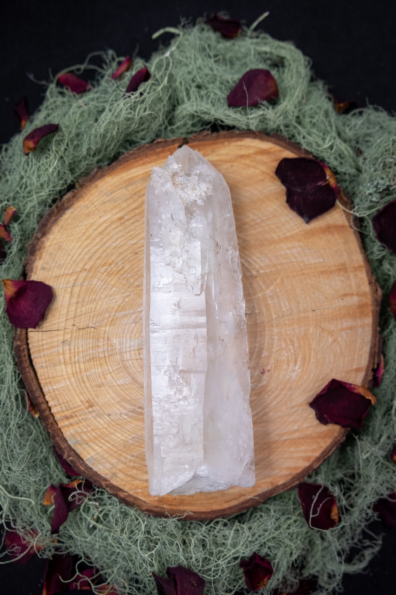 Natural Diamantina Quartz Point, High Grade Brazilian Crystal, Clear Quartz Stone for Energy Amplification and Clarity