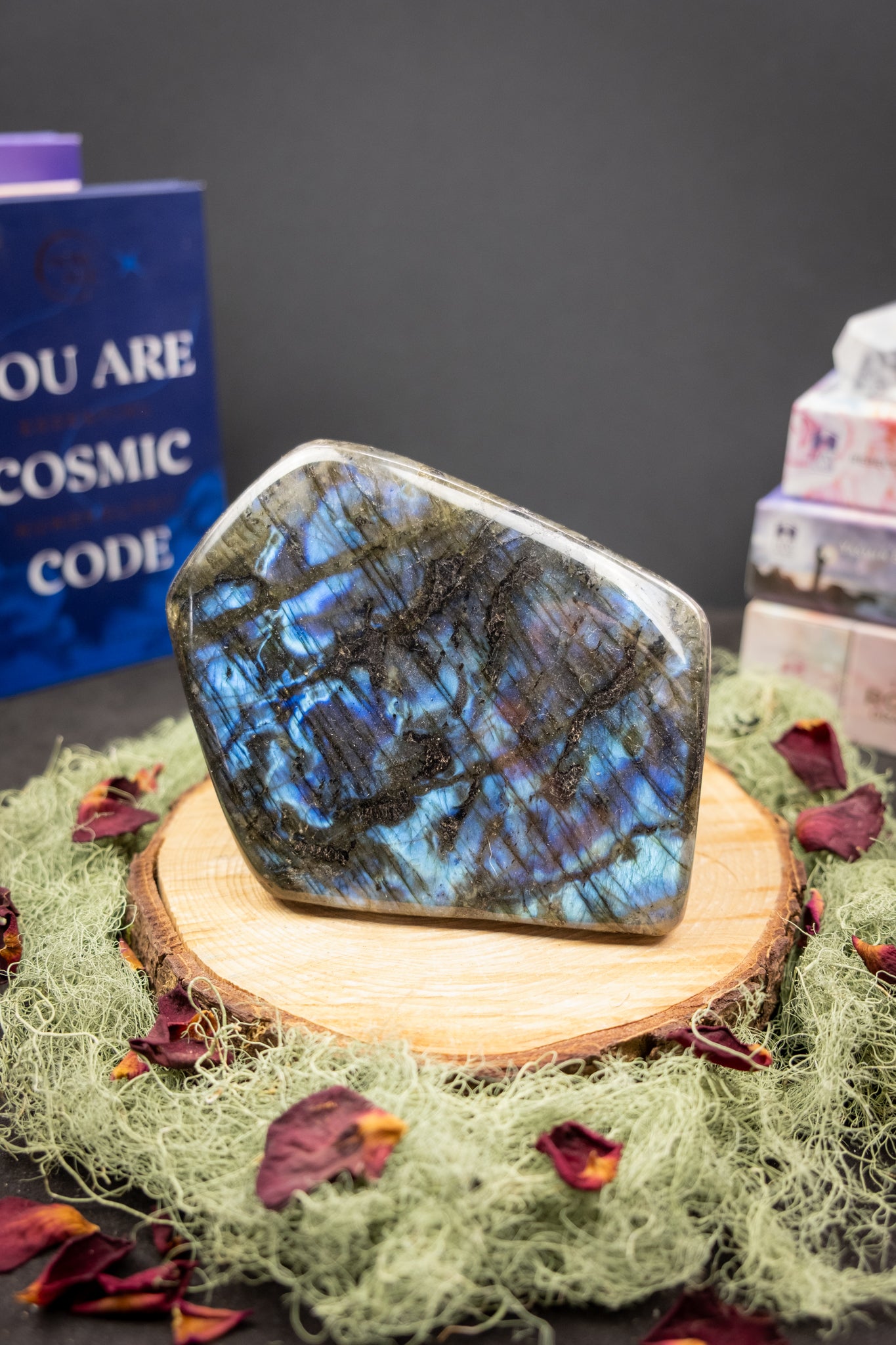 Blue Labradorite Polished Stone, Rare Flashing Crystal Gem with Unique Leopard Markings, Intuition & Transformation Stone
