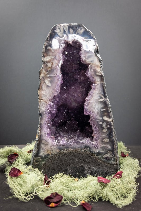 Rare Amethyst Cathedral with Flower Formations, Deep Healing Crystal, Spiritual Protection and Inner Peace Stone Geode