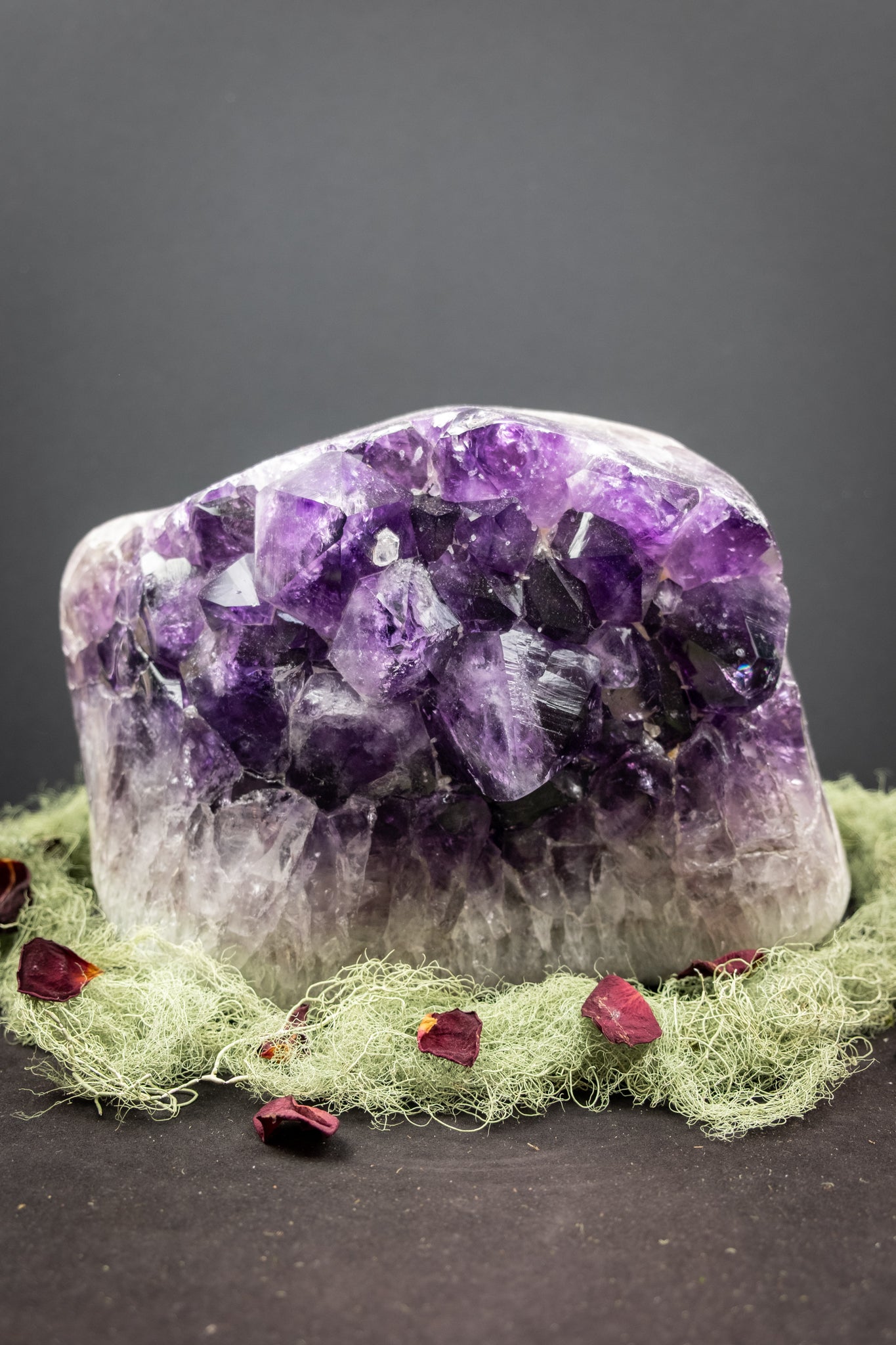 Rare Large Amethyst and Moss Agate Crystal Bed, Deep Violet Points, Druzy Calcite Sparkles, Polished Edge, Rainbows and Exceptional Energy