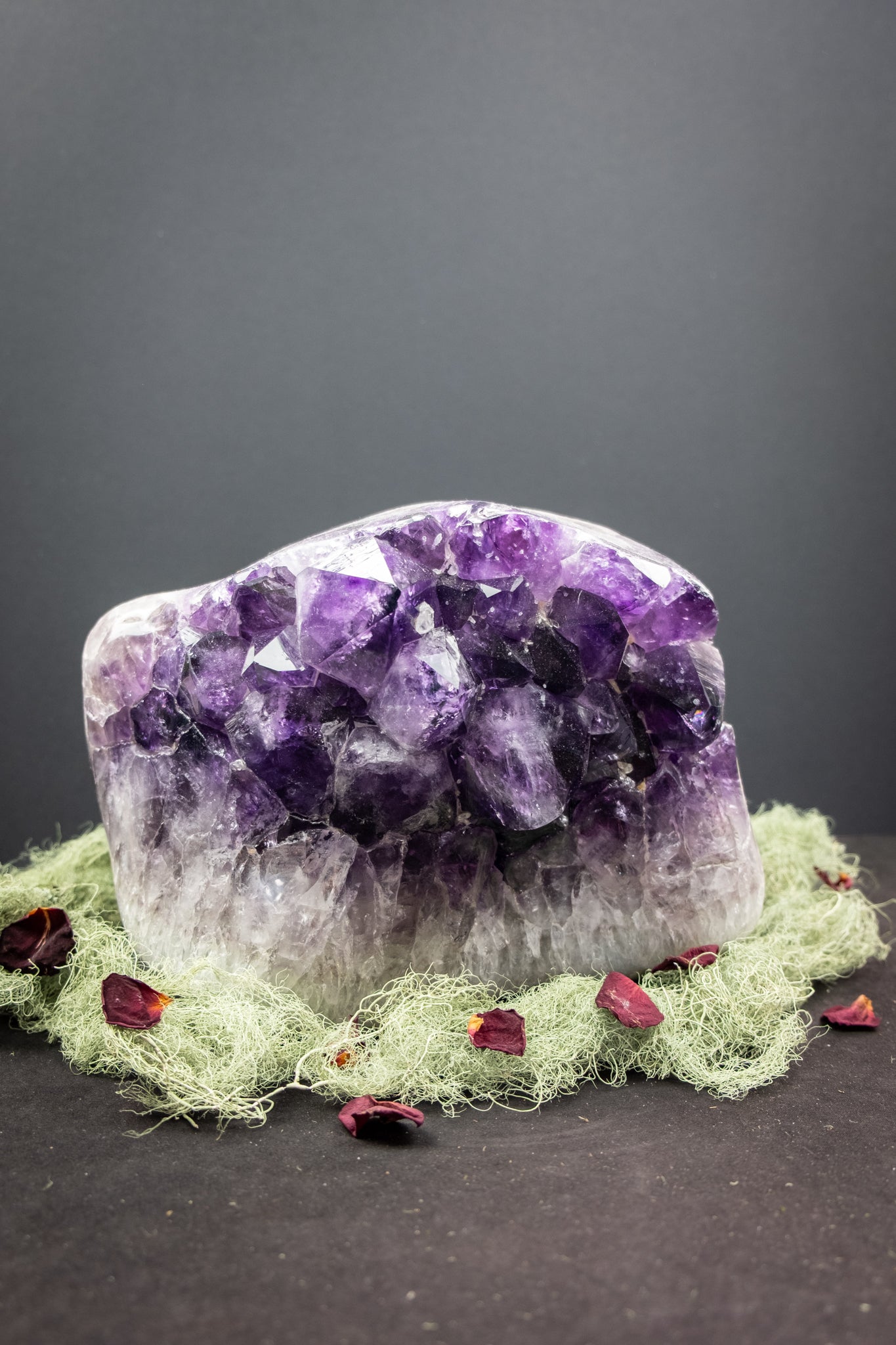 Rare Large Amethyst and Moss Agate Crystal Bed, Deep Violet Points, Druzy Calcite Sparkles, Polished Edge, Rainbows and Exceptional Energy