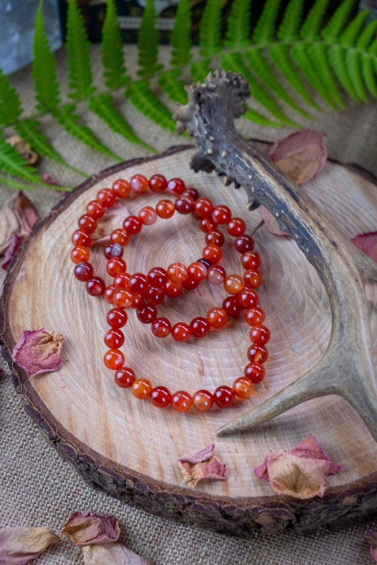 Carnelian Crystal 8mm Bracelet,  Carnelian beaded bracelet, Crystal for passion, love, creativity,  Root and Sacral chakra crystal.