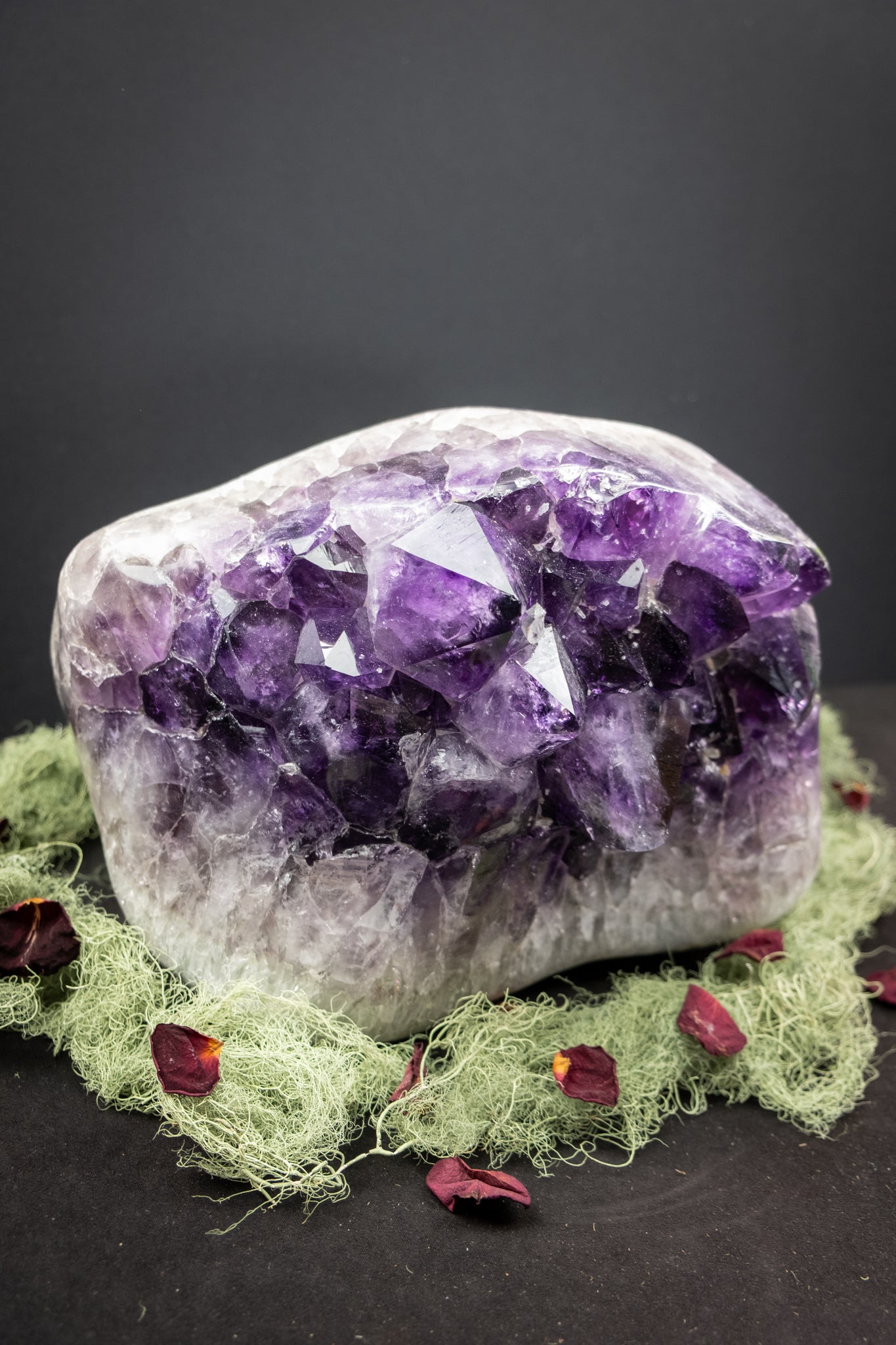 Rare Large Amethyst and Moss Agate Crystal Bed, Deep Violet Points, Druzy Calcite Sparkles, Polished Edge, Rainbows and Exceptional Energy