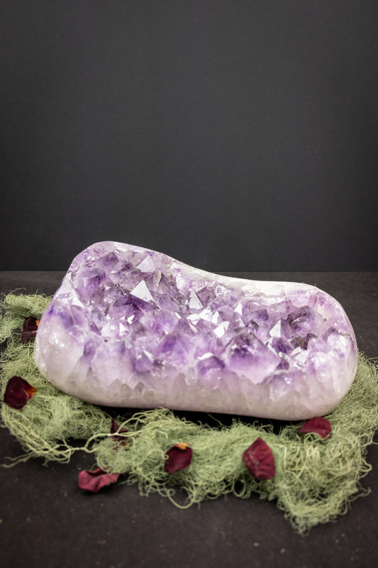 Large Amethyst Crystal Bed with Actinolite, Polished Moss Agate Edge and Raw Back, Rare Lilac and Deep Violet Gemstone from Brazil