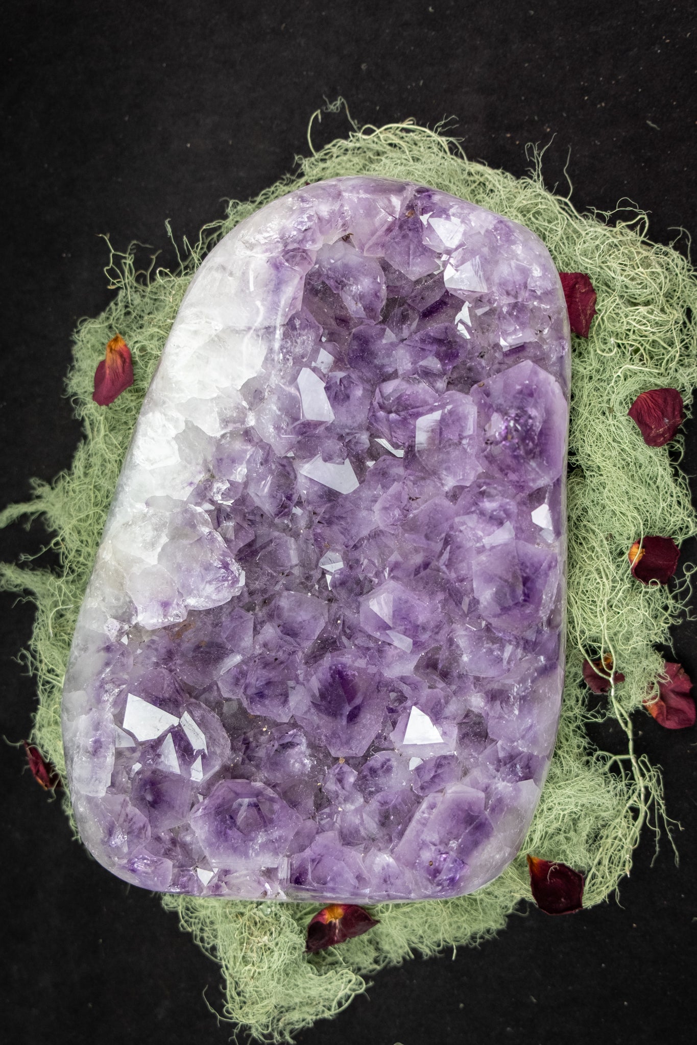 Large Amethyst Crystal Bed with Actinolite, Polished Moss Agate Edge and Raw Back, Rare Lilac and Deep Violet Gemstone from Brazil