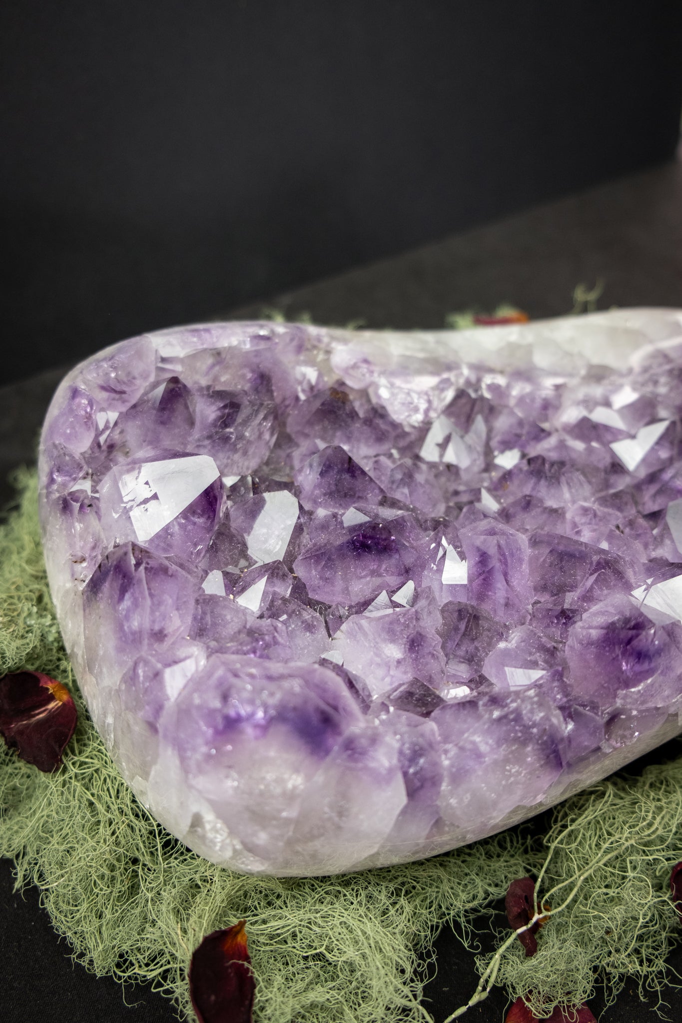 Large Amethyst Crystal Bed with Actinolite, Polished Moss Agate Edge and Raw Back, Rare Lilac and Deep Violet Gemstone from Brazil