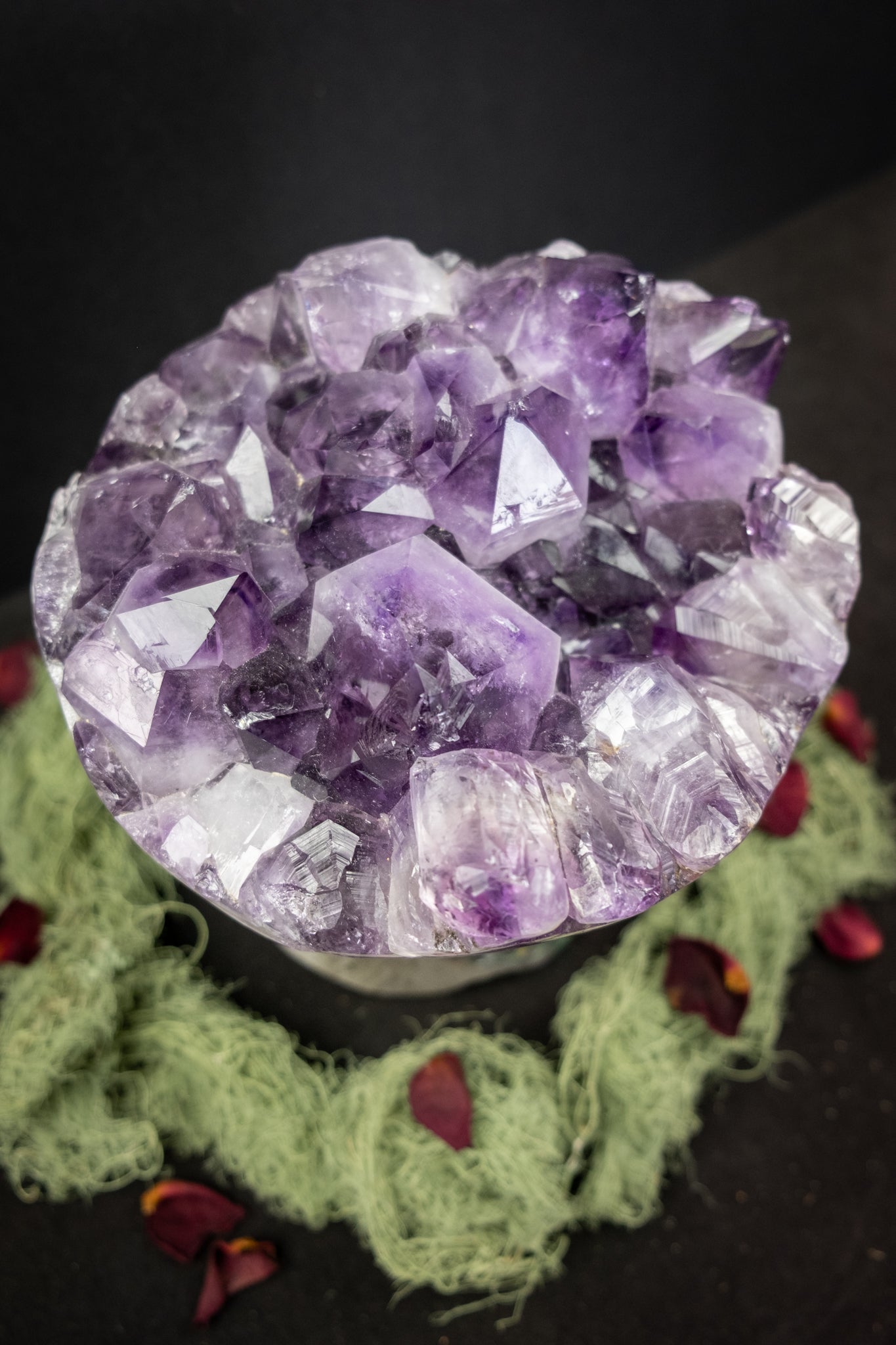 Deep Violet Amethyst Crystal Flower, Natural Gemstone Formation with Moss Agate Base, Polished Edge Display Stone