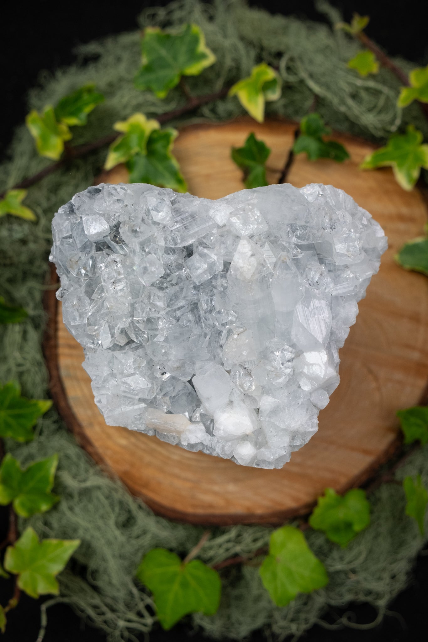 High Grade Apophyllite on Stand, Sparkling Cluster Crystal, Purifying Stone for Clarity and Uplift