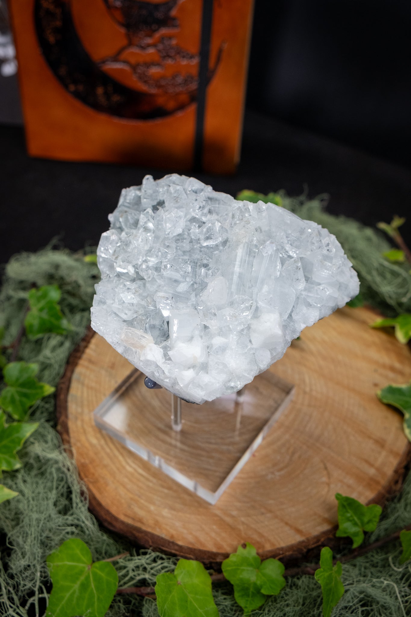 High Grade Apophyllite on Stand, Sparkling Cluster Crystal, Purifying Stone for Clarity and Uplift