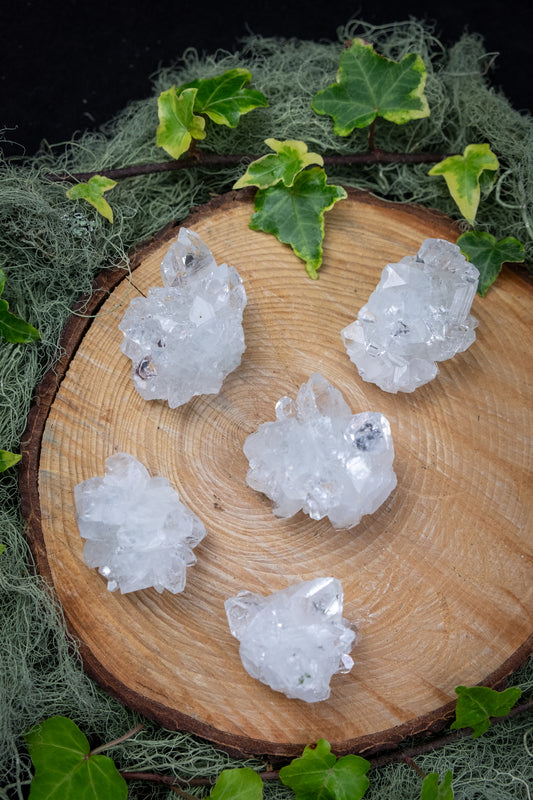 Mini Apophyllite Crystal Cluster, Sparkling Clear Gemstone Cluster, Healing Stone for Clarity and High Vibration, Intuitively Chosen