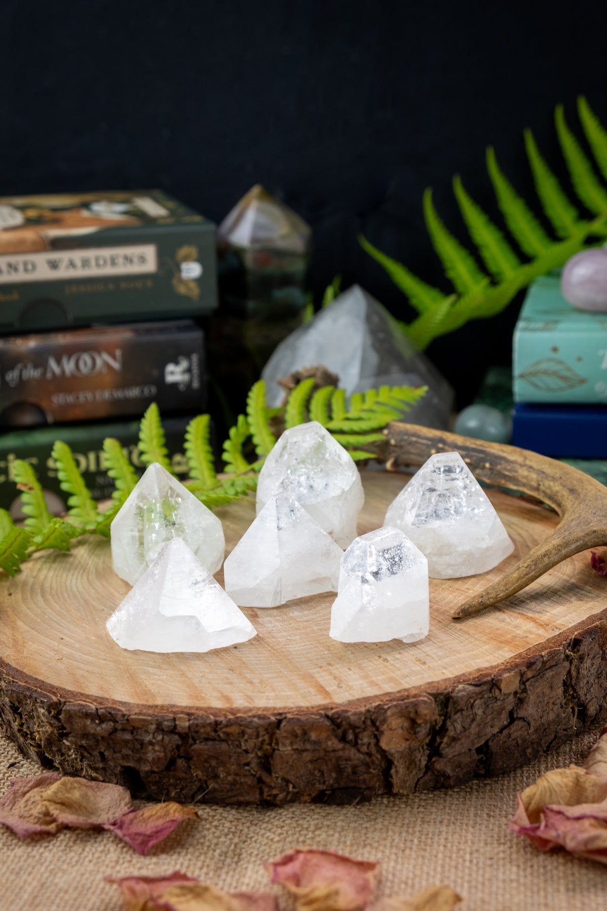 Apophyllite Crystal Point, Absorbs Negative Energy, Crystal grids.