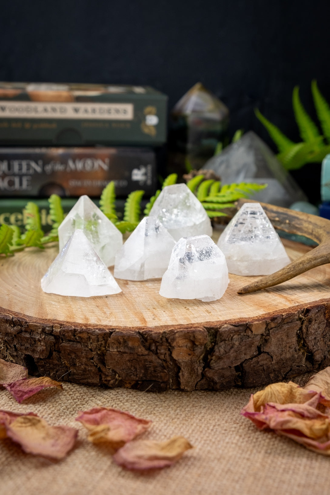 Apophyllite Crystal Point, Absorbs Negative Energy, Crystal grids.