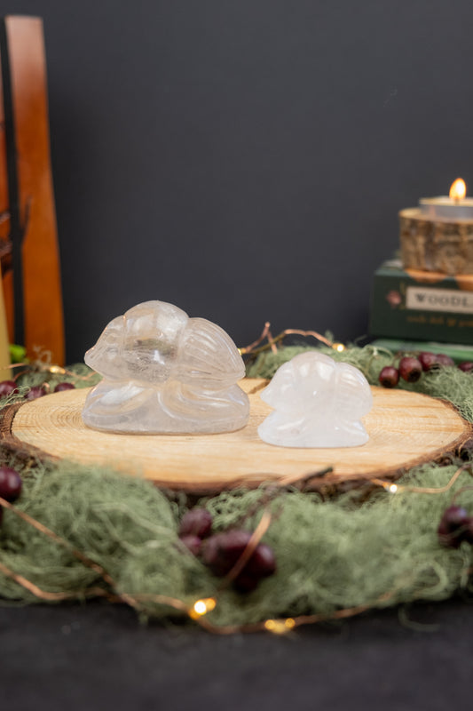 Clear Quartz Scarab Carving, Hand Carved Crystal Talisman, Ancient Symbol of Protection Renewal and Clarity