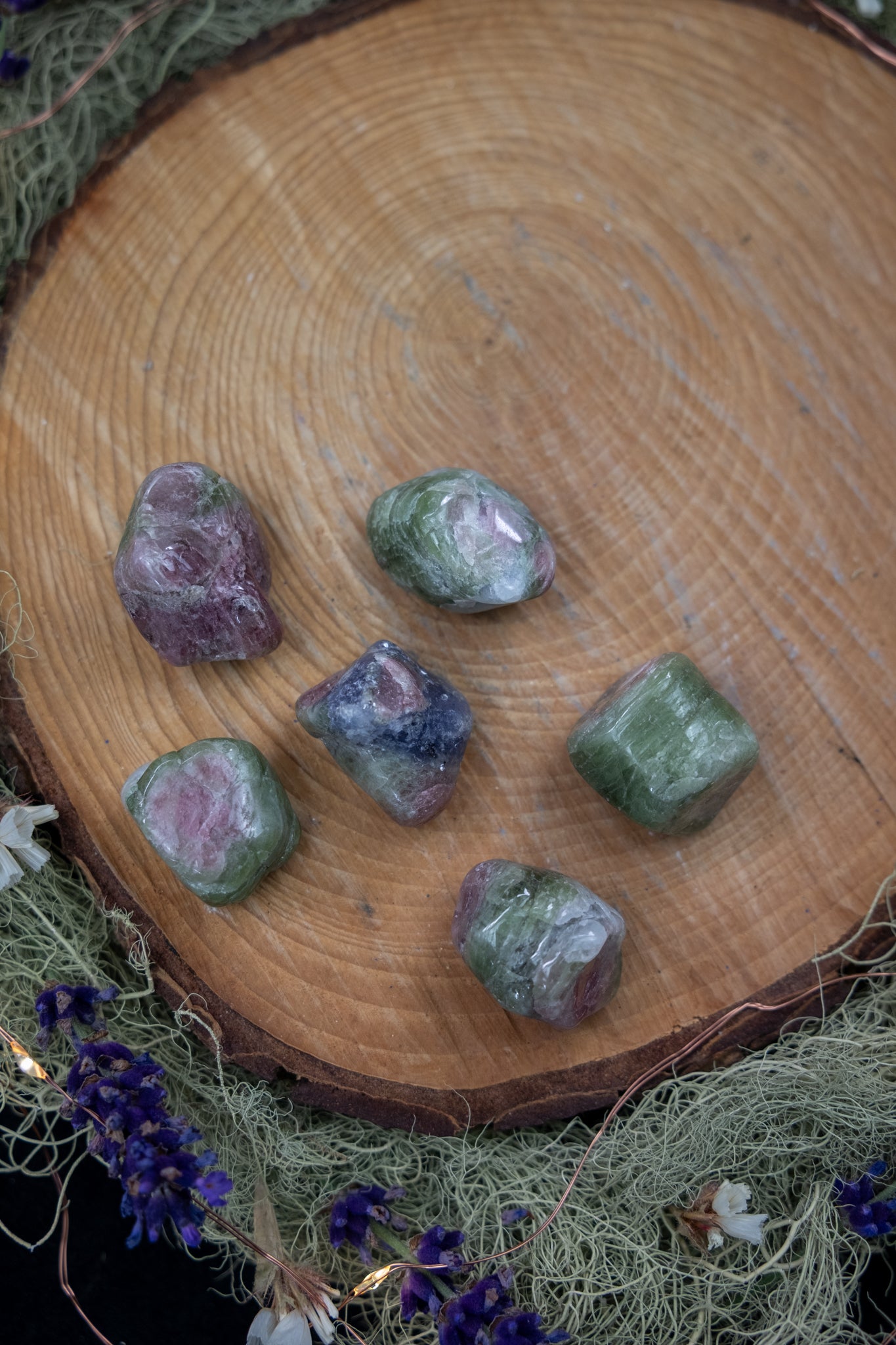 Polished Watermelon Tourmaline