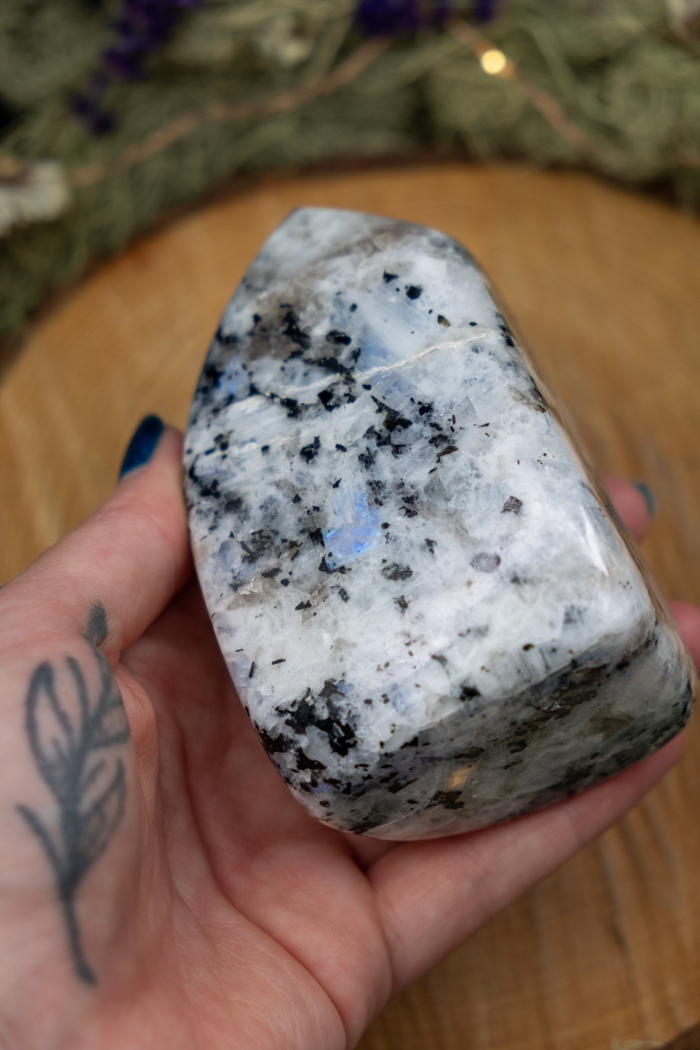 Rainbow Moonstone Freeform