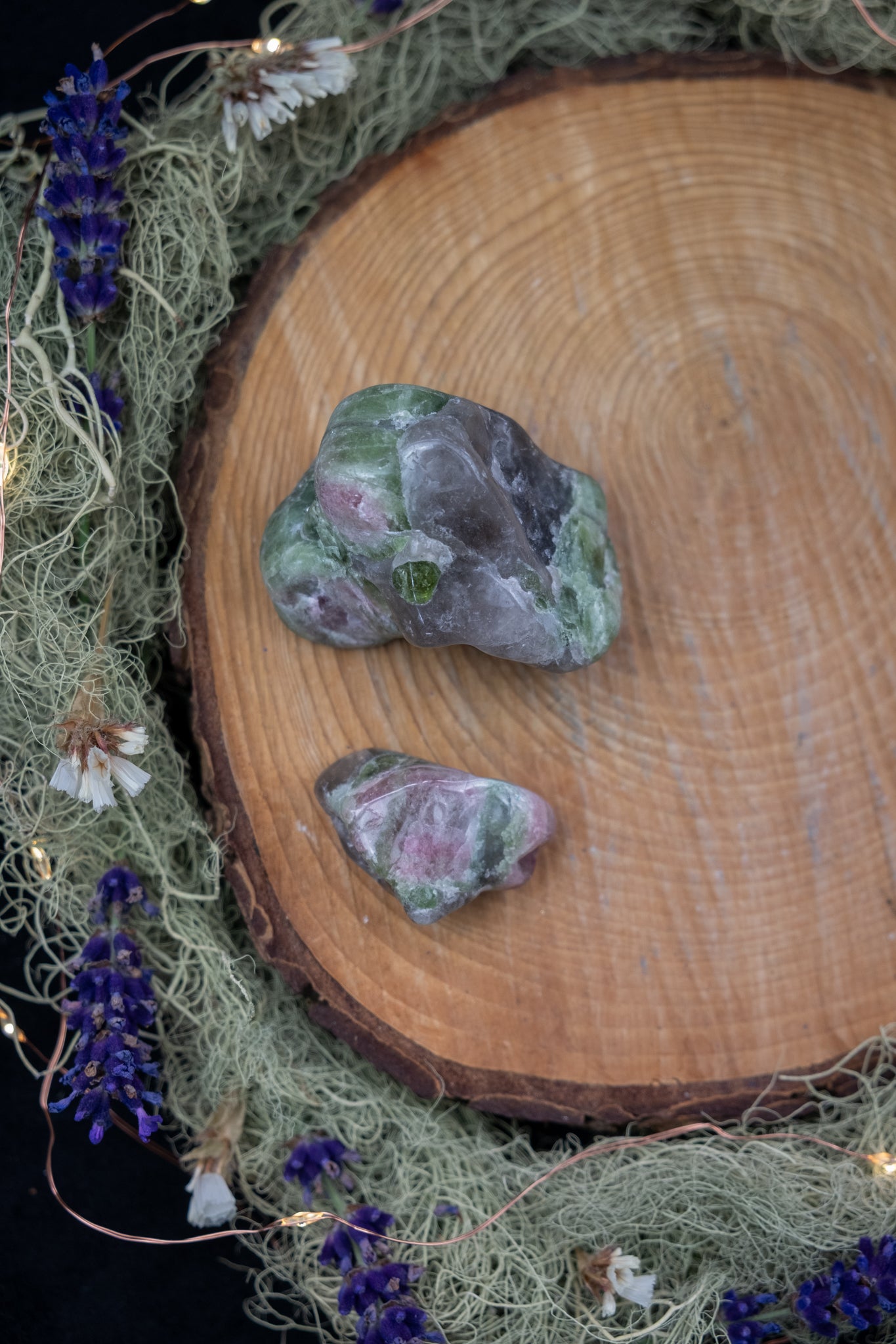 Polished Watermelon Tourmaline in Smokey Quartz