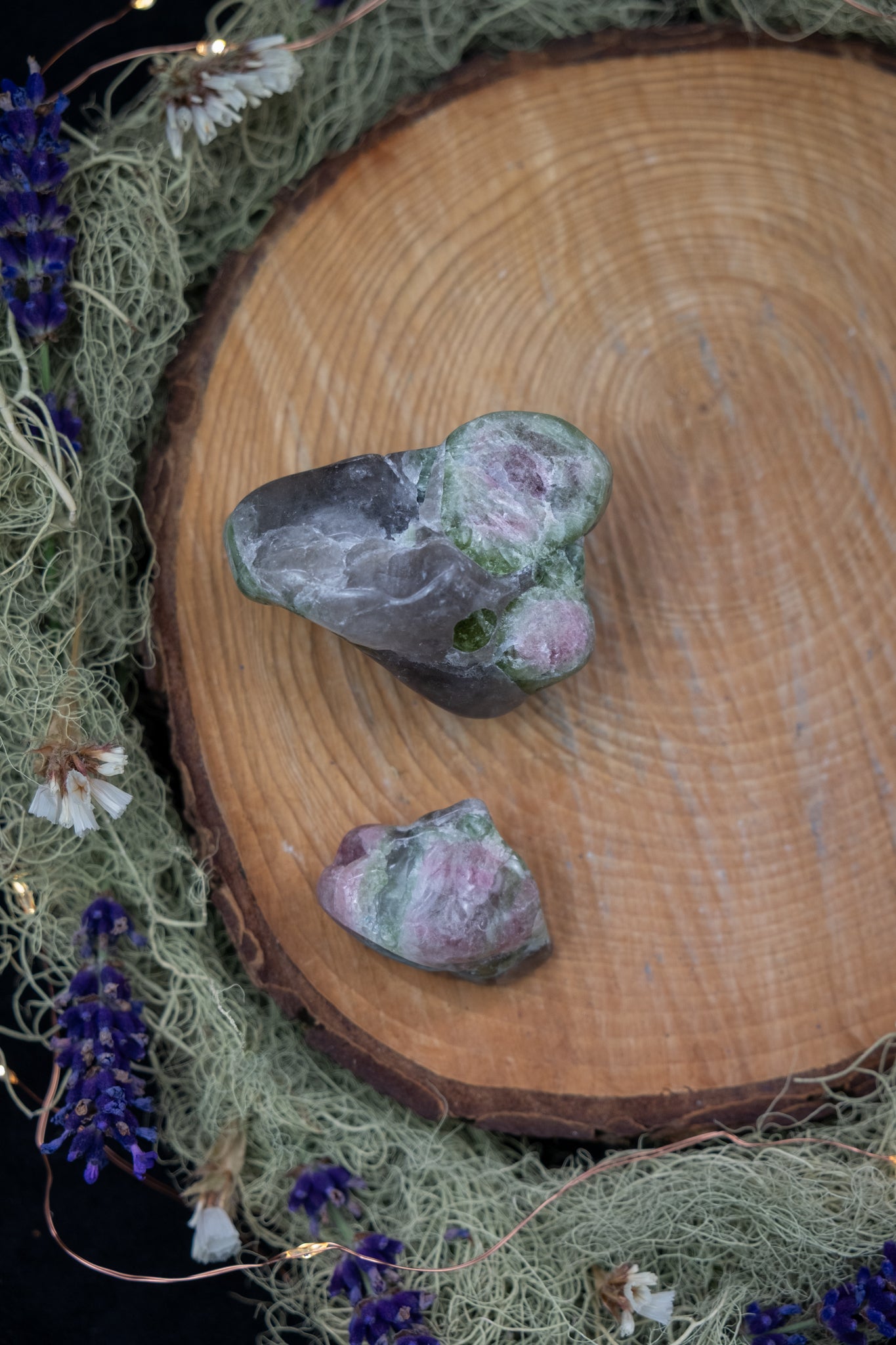 Polished Watermelon Tourmaline in Smokey Quartz