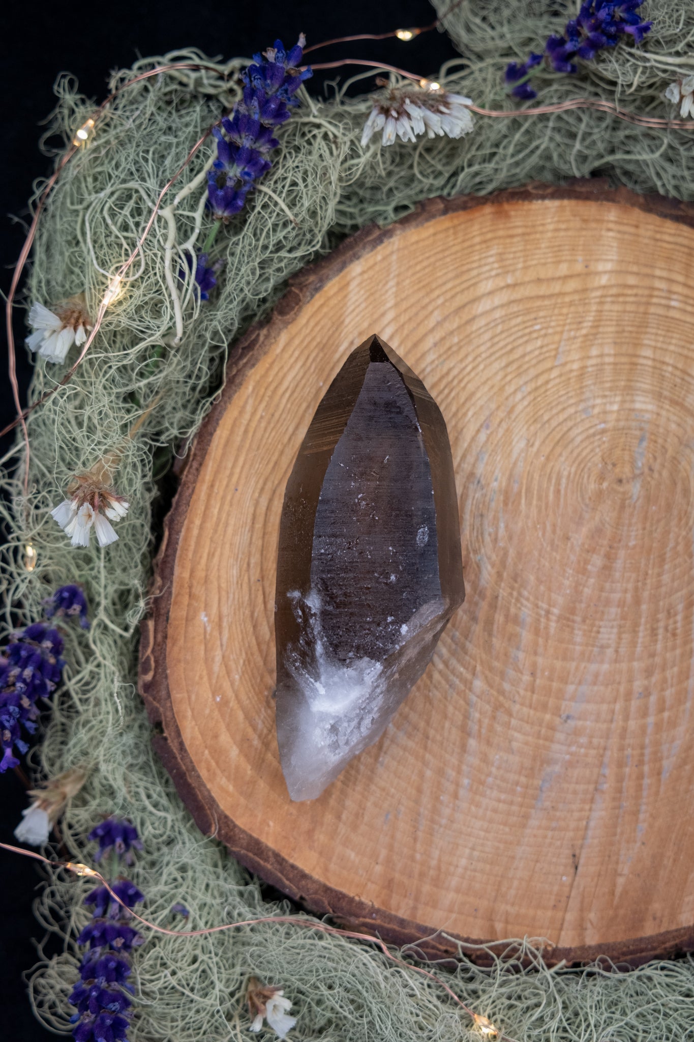 Smokey Lemurian Quartz Point on Stand