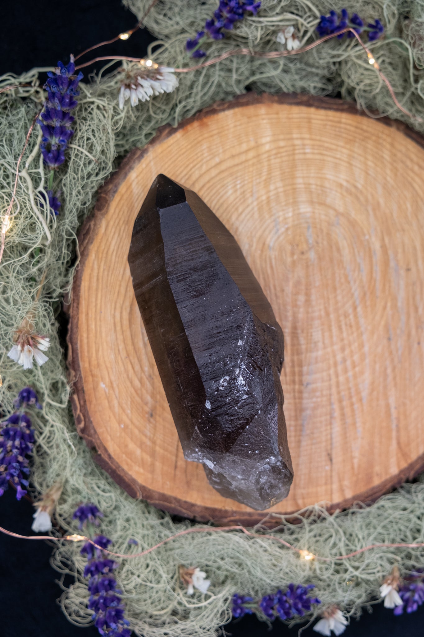 Smokey Lemurian Quartz Point on Stand