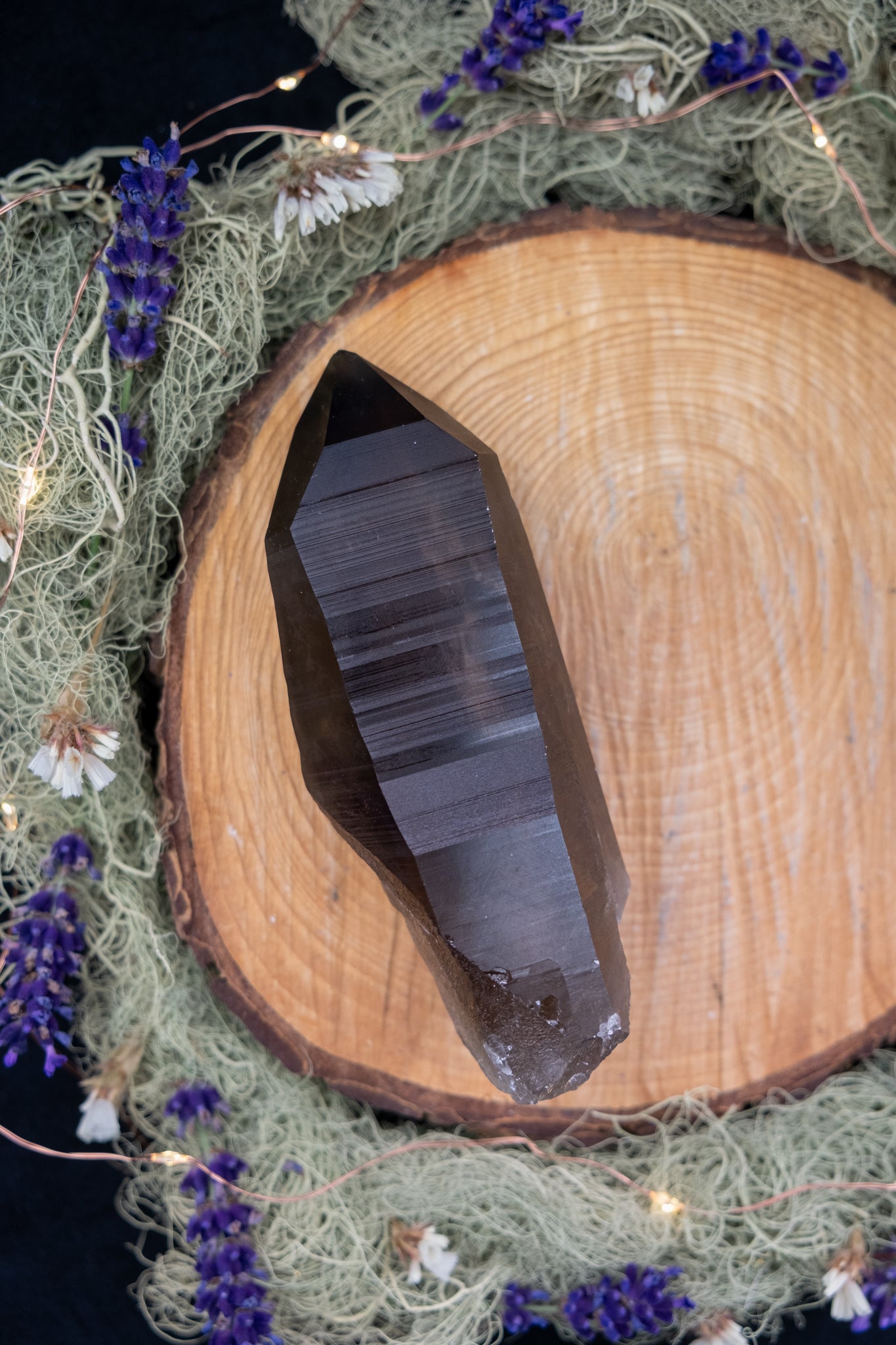 Smokey Lemurian Quartz Point on Stand