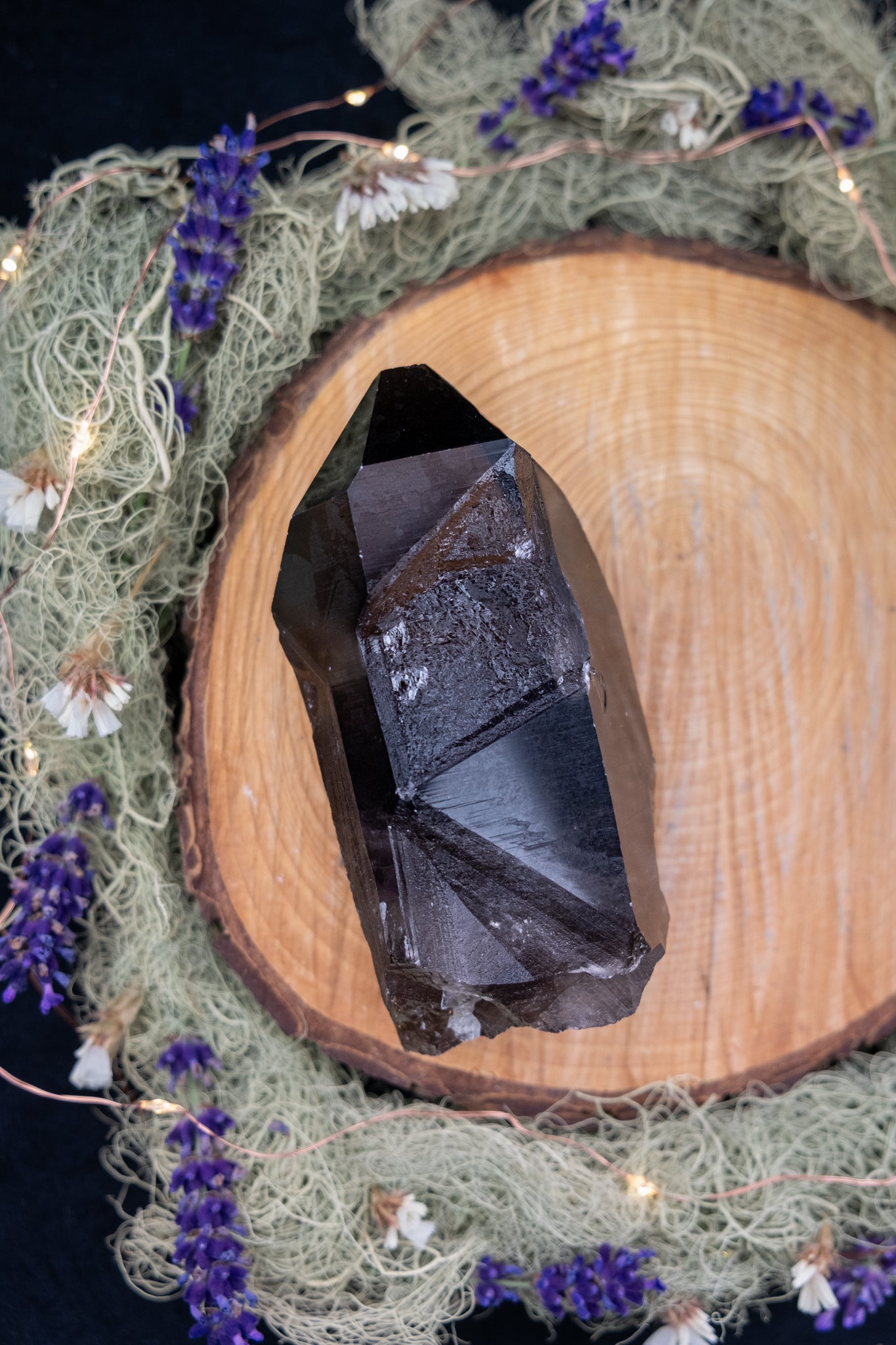 Smokey Lemurian Quartz Key Point on Stand