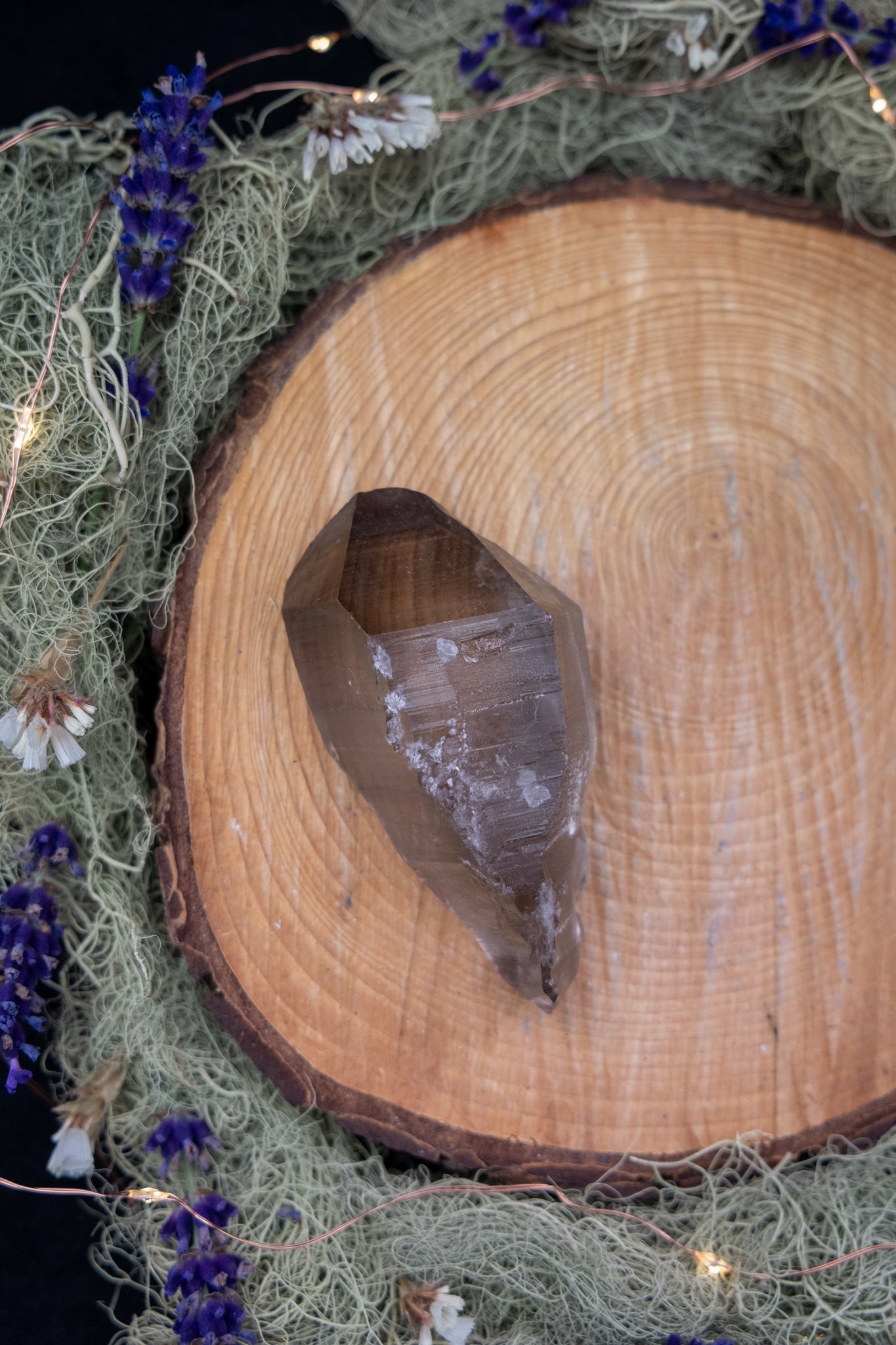 Smokey Lemurian Quartz Point with Rainbow and Barnacle Crystal