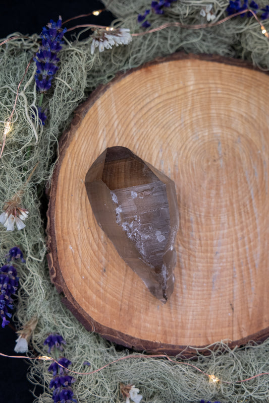 Smokey Lemurian Quartz Point with Rainbow and Barnacle Crystal