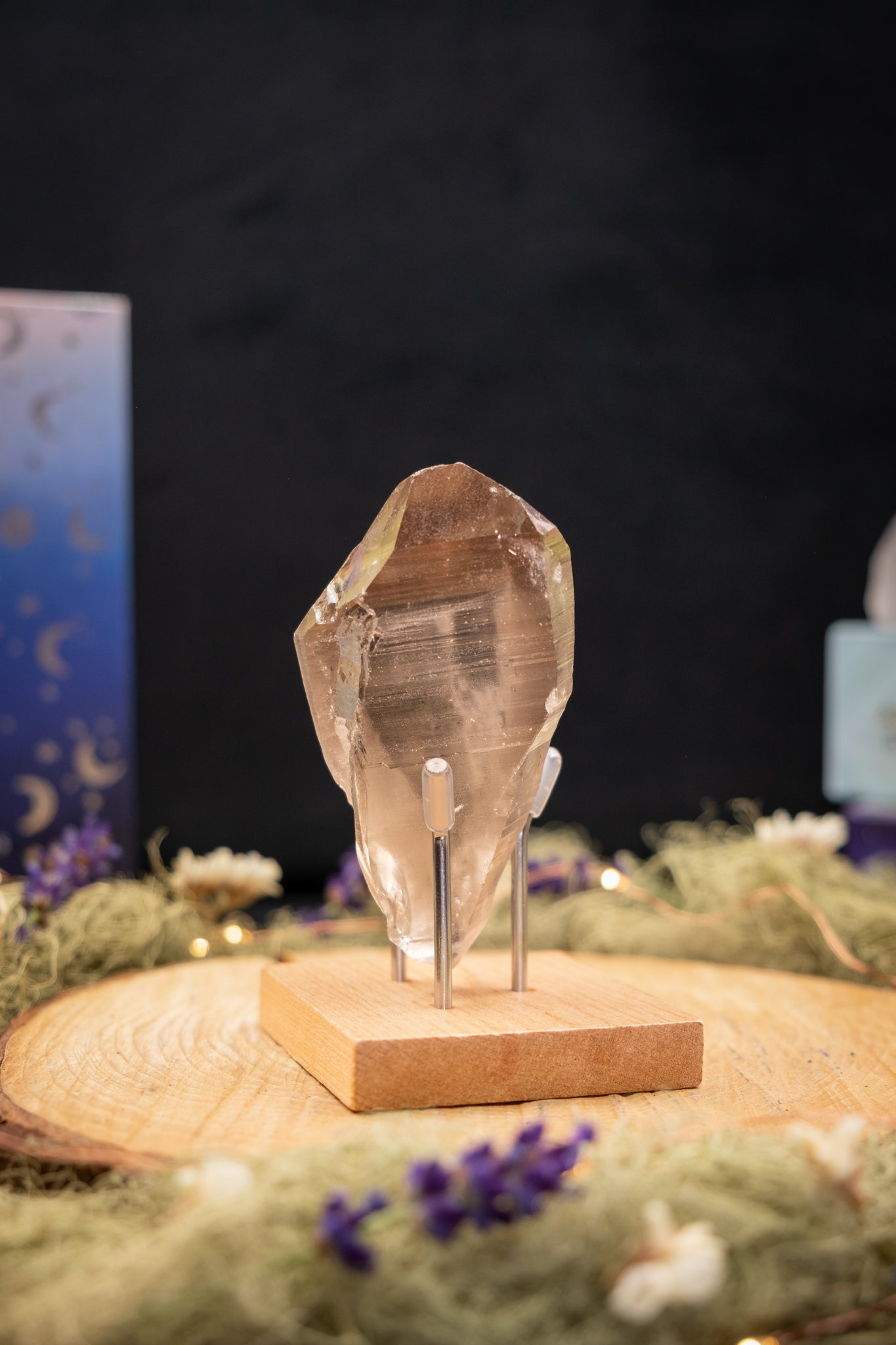 Smokey Lemurian Quartz Point with Rainbow and Barnacle Crystal