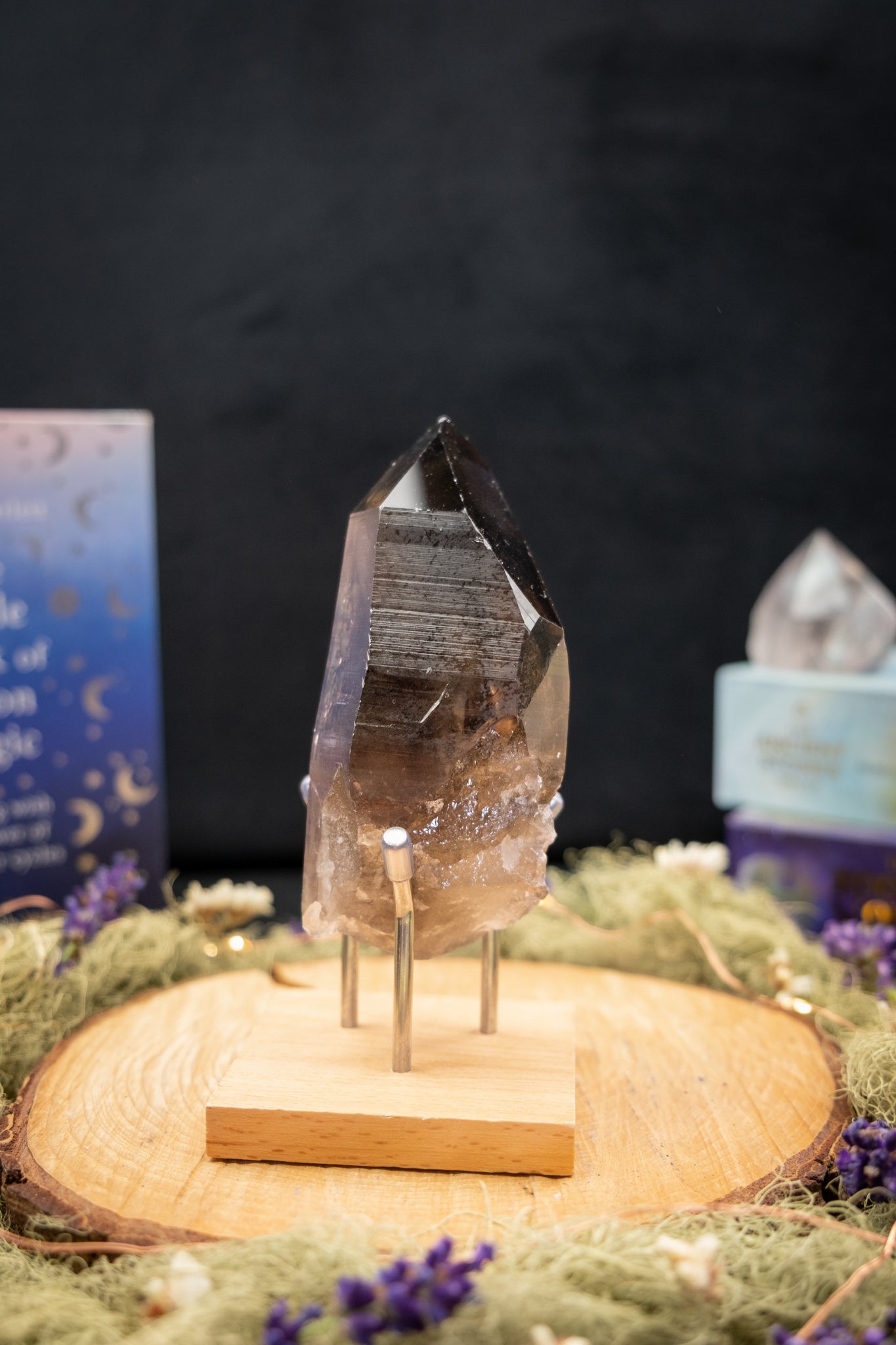 Smokey Lemurian Quartz Point with Ridge on Stand
