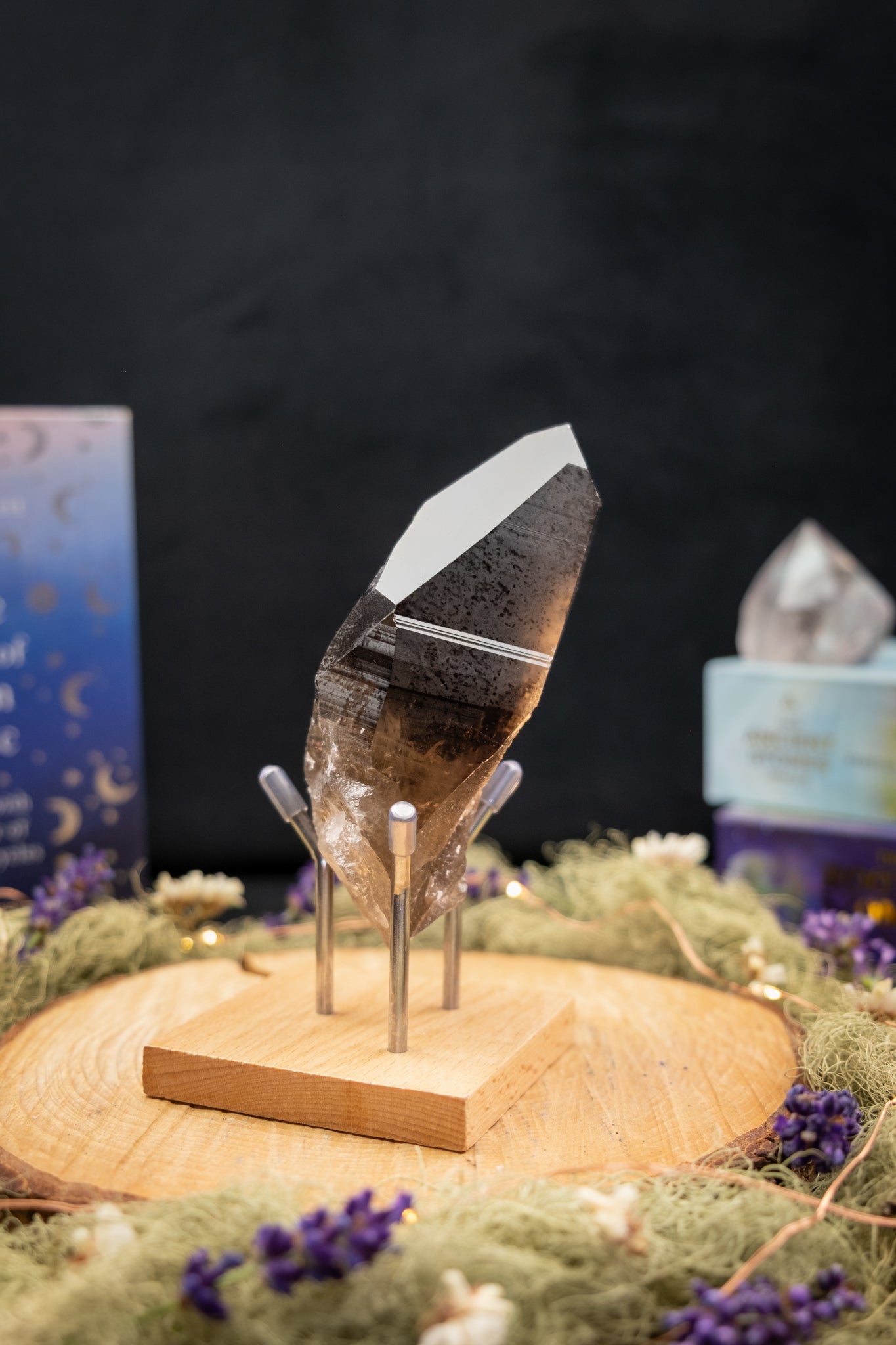 Smokey Lemurian Quartz Point with Ridge on Stand