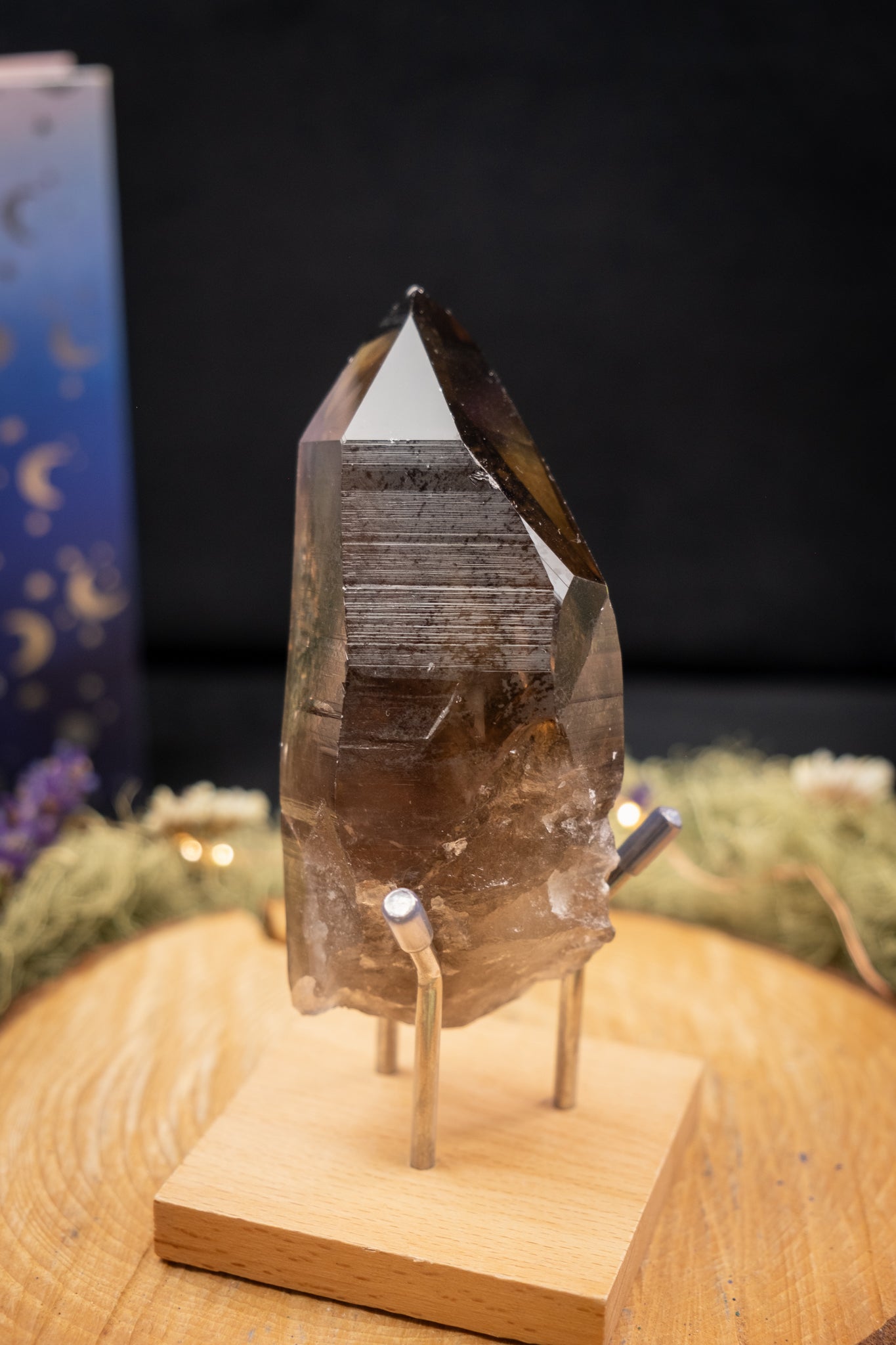 Smokey Lemurian Quartz Point with Ridge on Stand