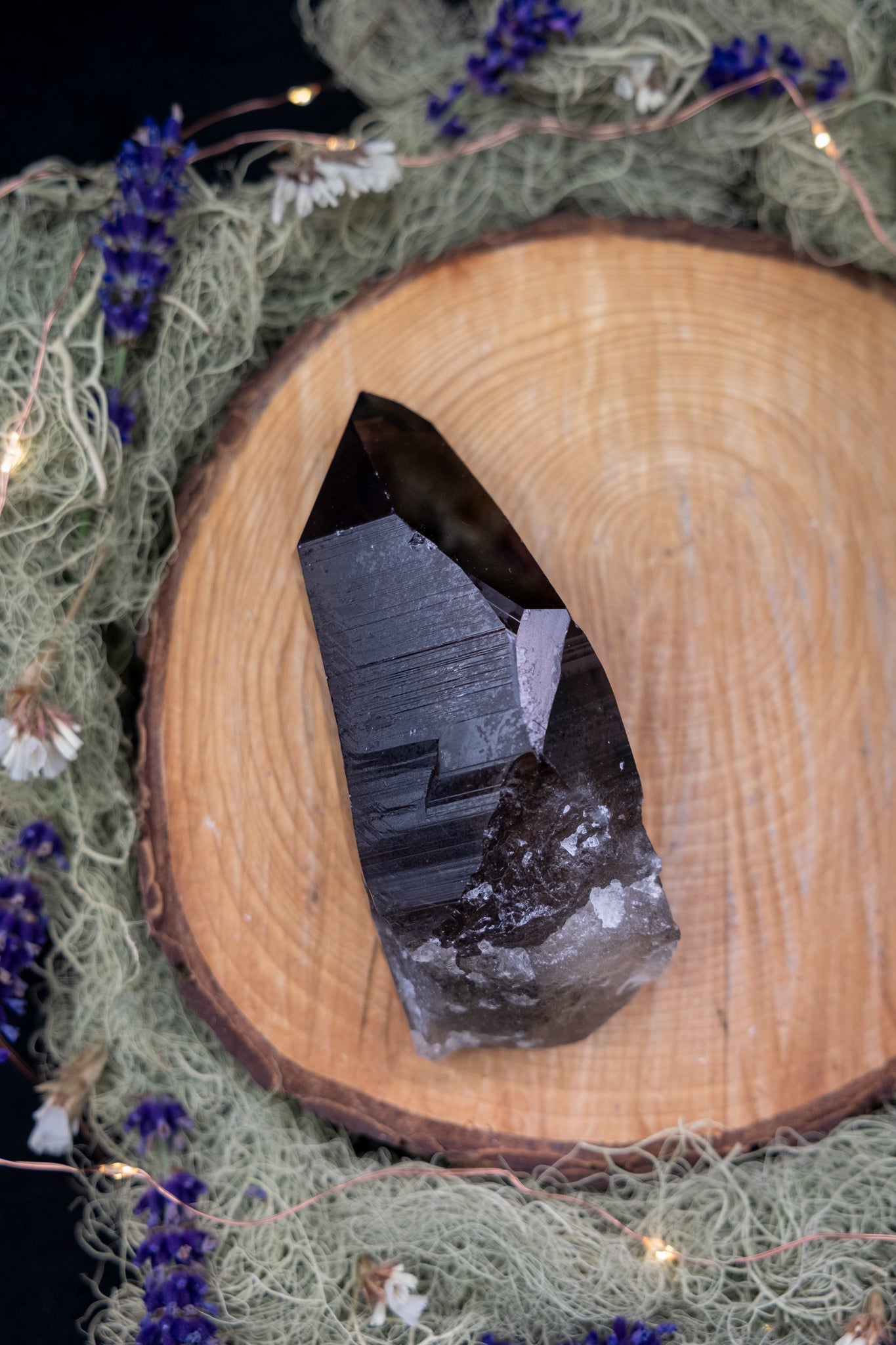 Smokey Lemurian Quartz Point with Ridge on Stand