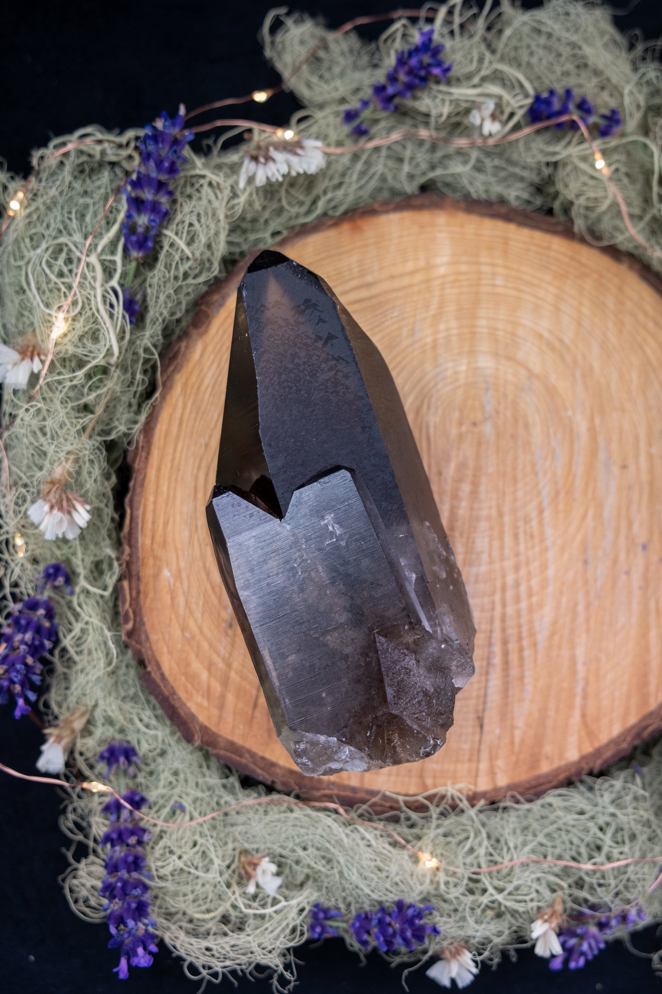 Smokey Lemurian Quartz Family Cluster on Stand