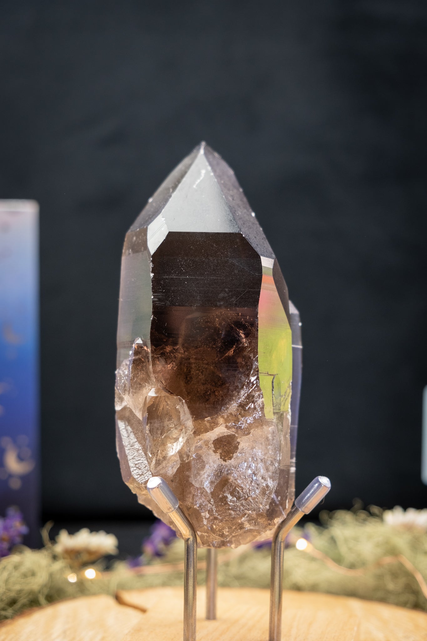 Smokey Lemurian Quartz Family Cluster on Stand