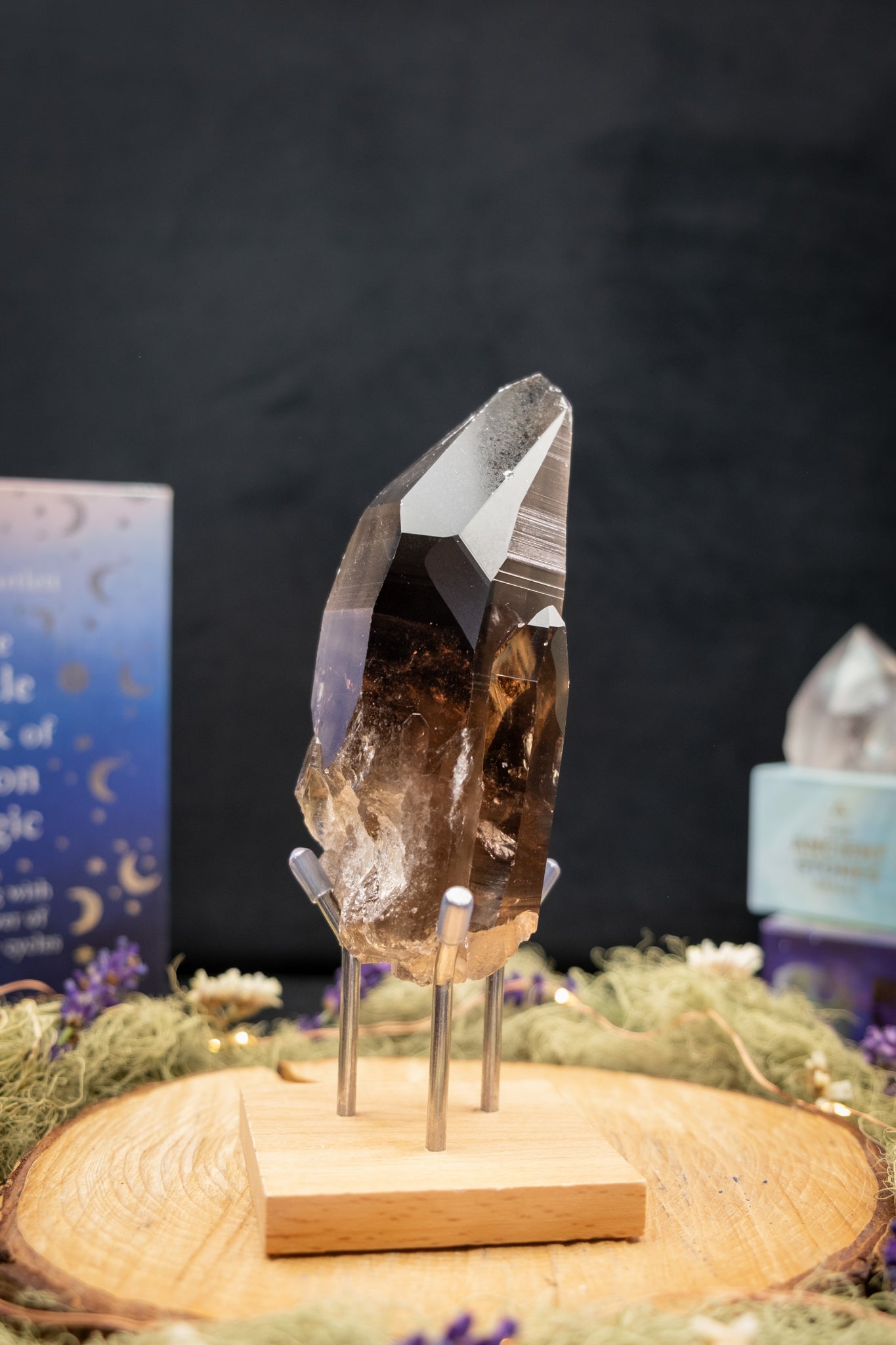 Smokey Lemurian Quartz Family Cluster on Stand