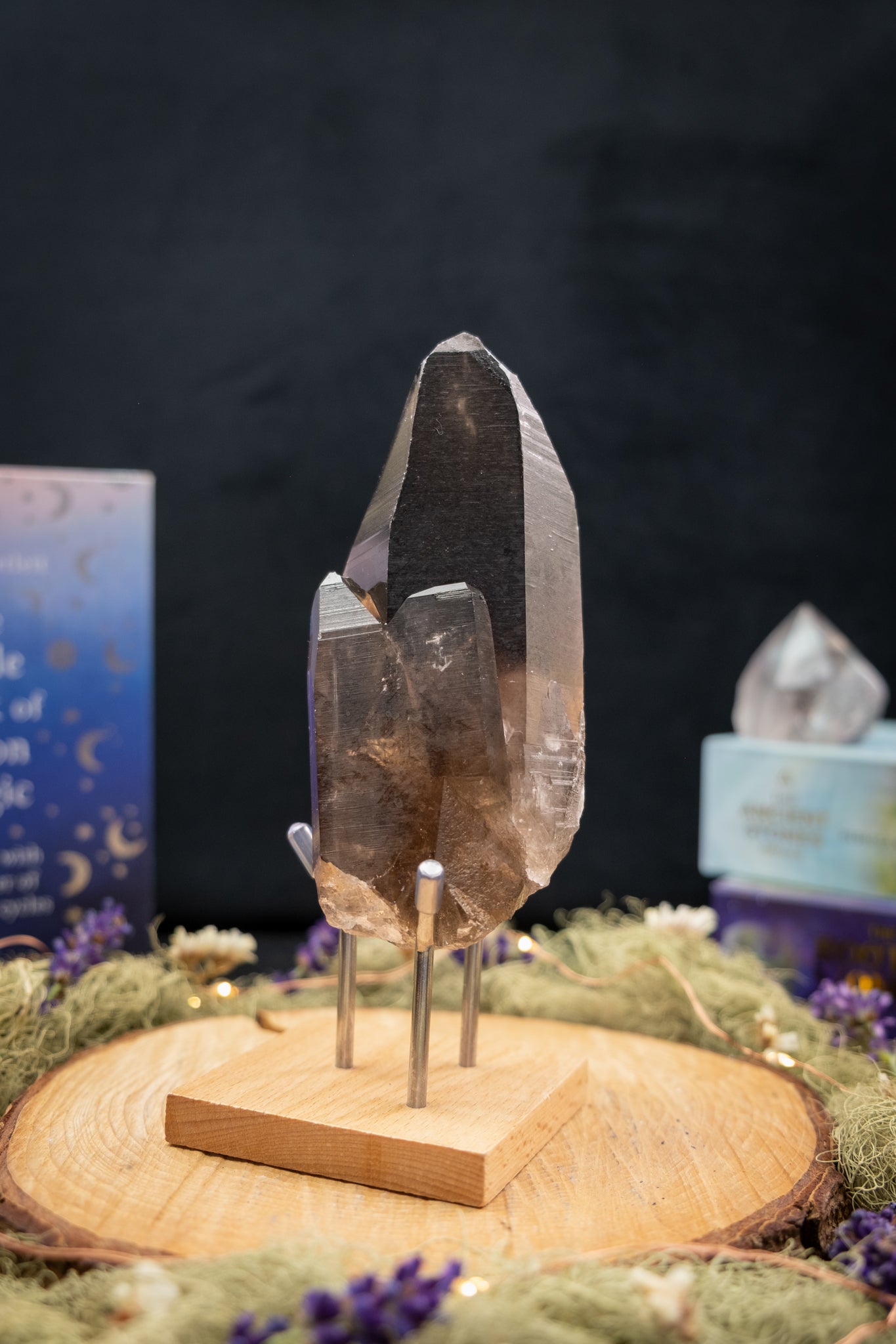 Smokey Lemurian Quartz Family Cluster on Stand