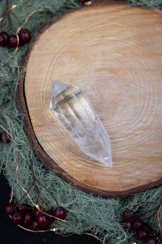 Lemurian Vogel