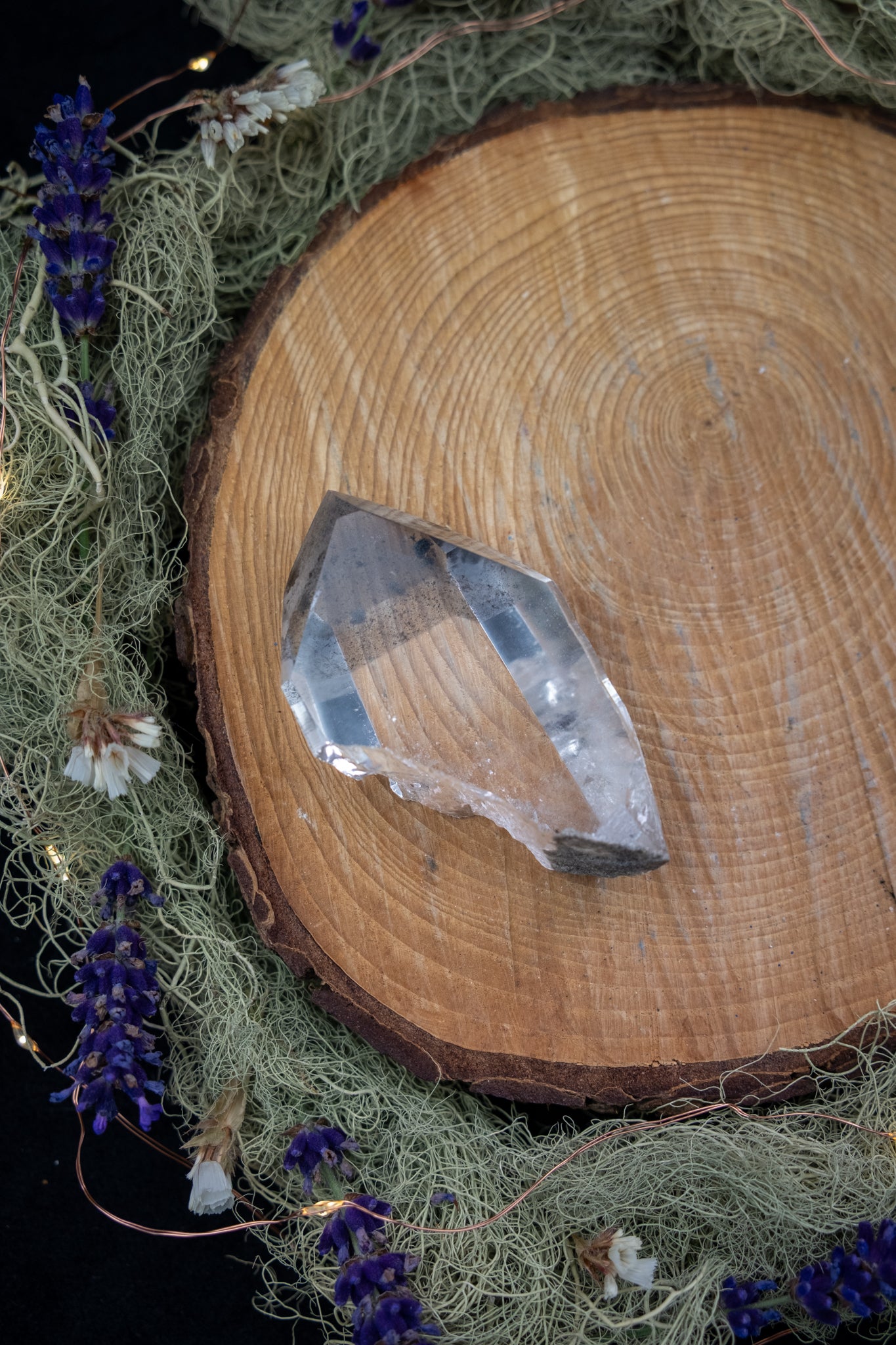 Black Phantom Lemurian Quartz Point