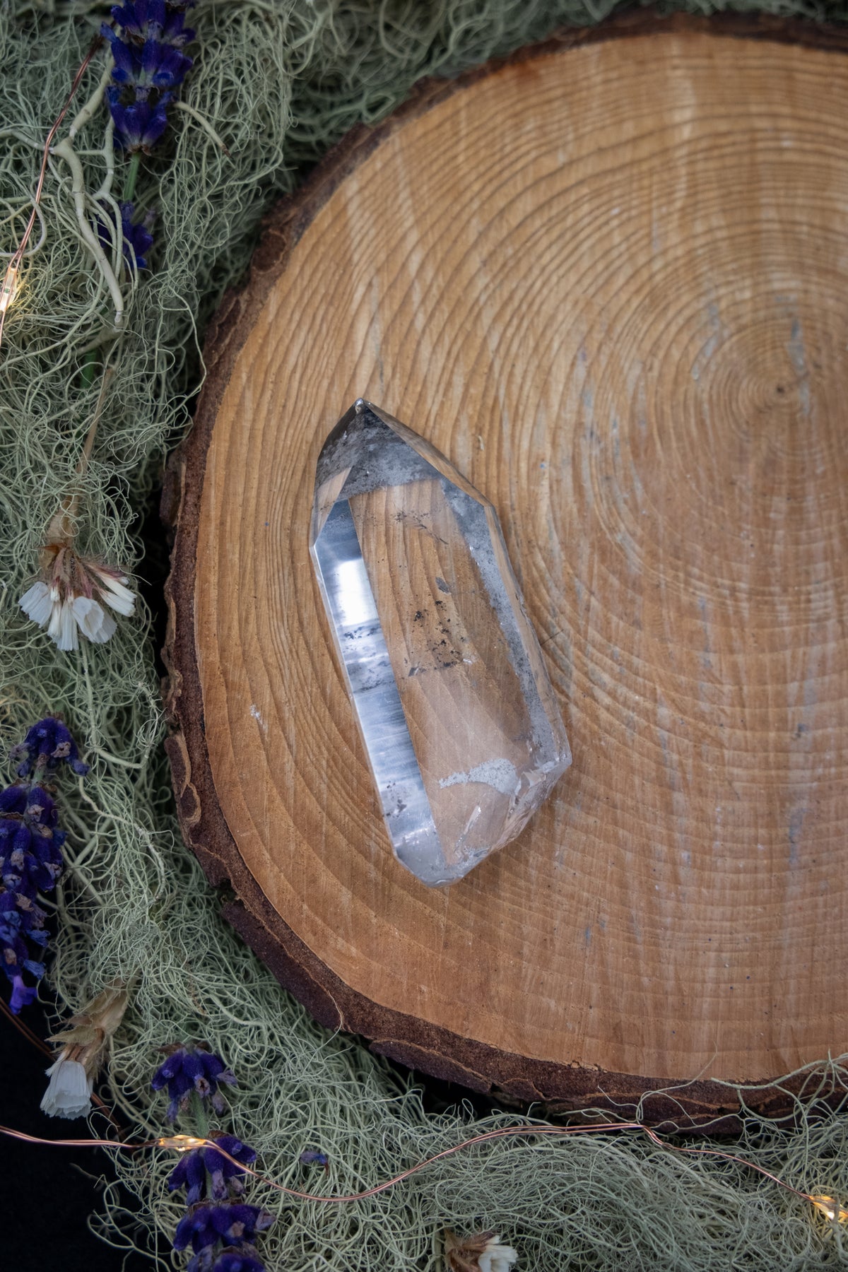 Black Phantom Lemurian Quartz Point