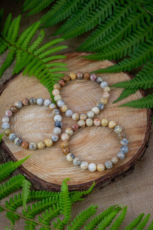 Crazy Lace Agate Crystal Bracelet, Crystal for joy, protection, healing from trauma